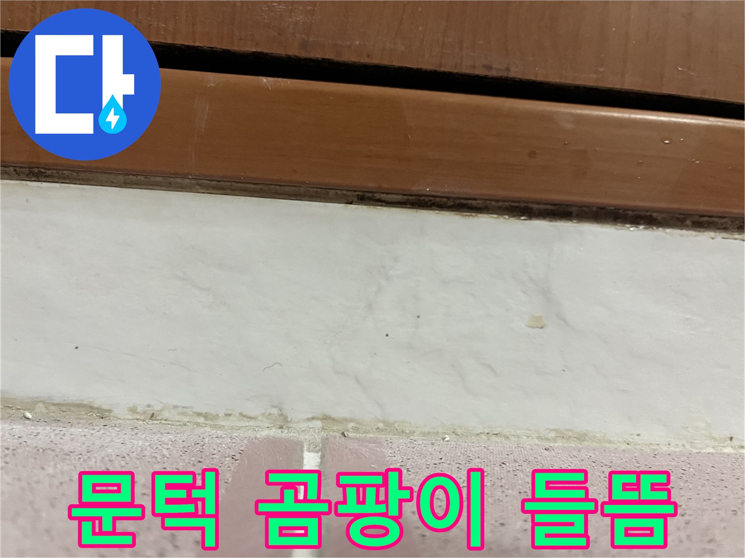 형제맨션빌 누수 - 문턱 아래 타일 틈새 곰팡이와 백시멘트 들뜸