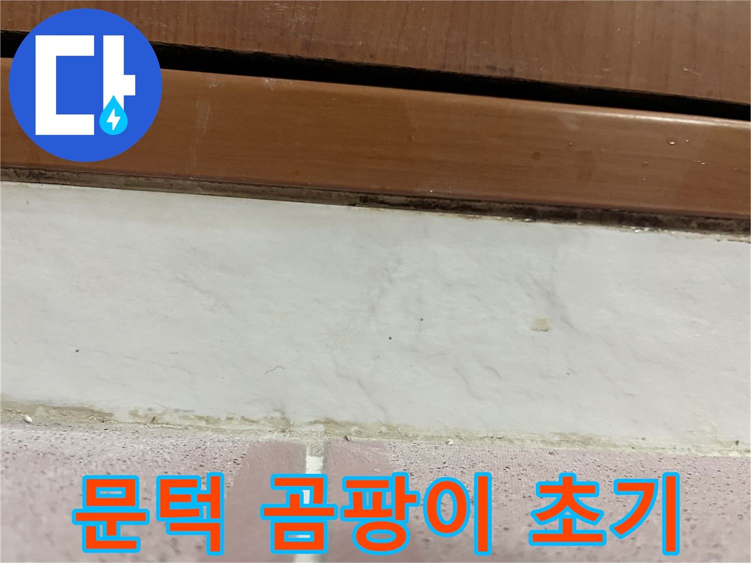 형제맨션빌 누수 - 문턱 아래 타일 틈새 곰팡이와 백시멘트 손상 초기