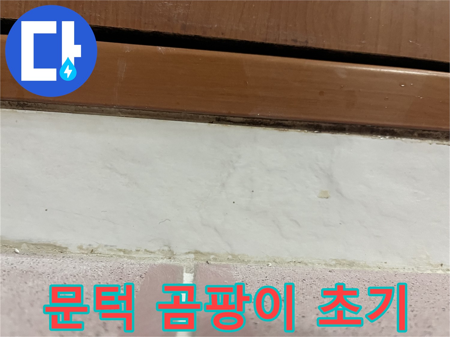 형제맨션빌 누수 - 문턱 주변 타일 틈새 곰팡이와 백시멘트 손상 초기