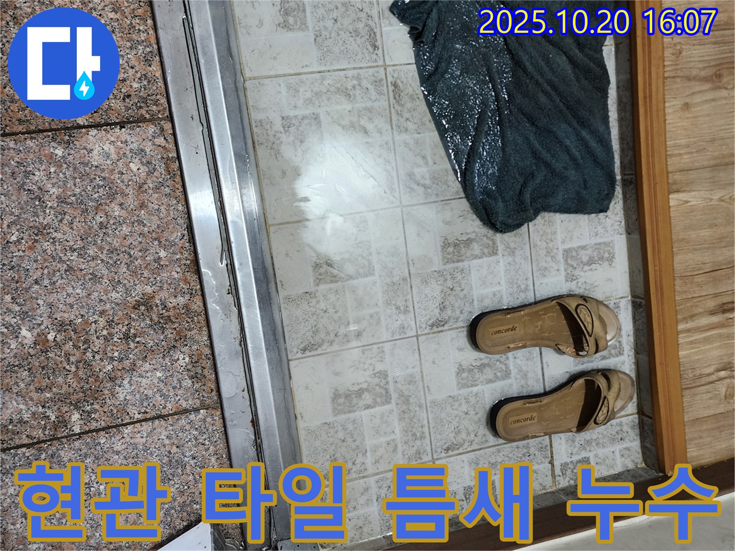 양주시 장흥면 부곡리 - 현관 타일 틈새 누수 발생 지점 확인