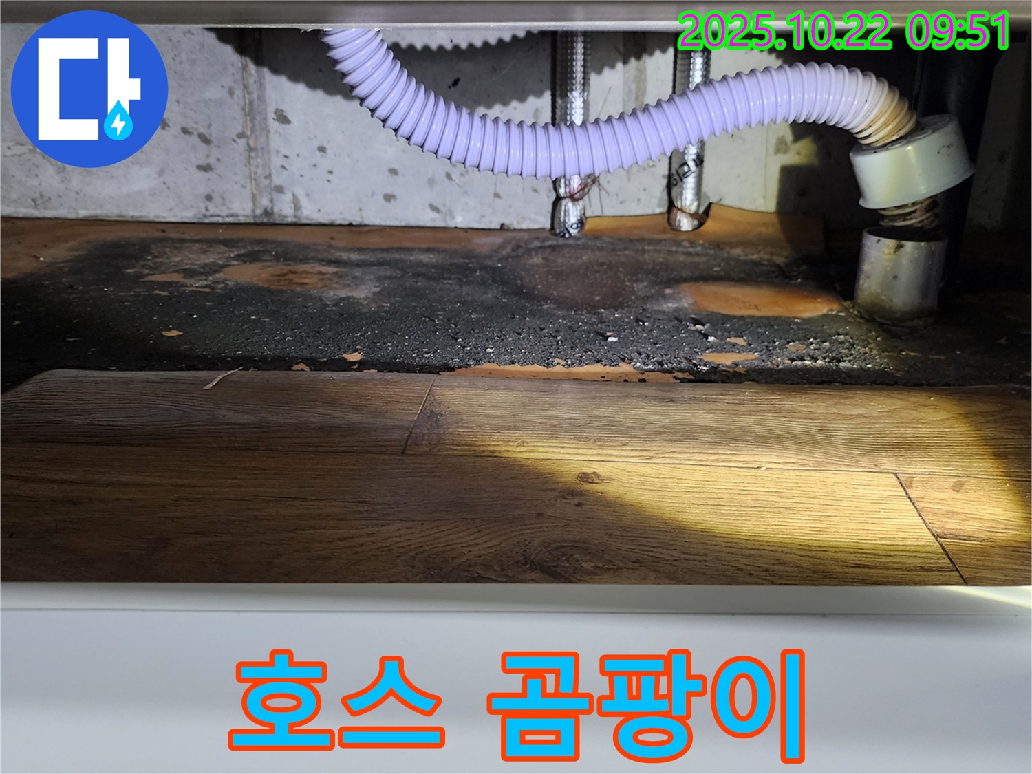 싱크대 배수 호스 주변 곰팡이 - 누수와 위생 문제 동시 발생