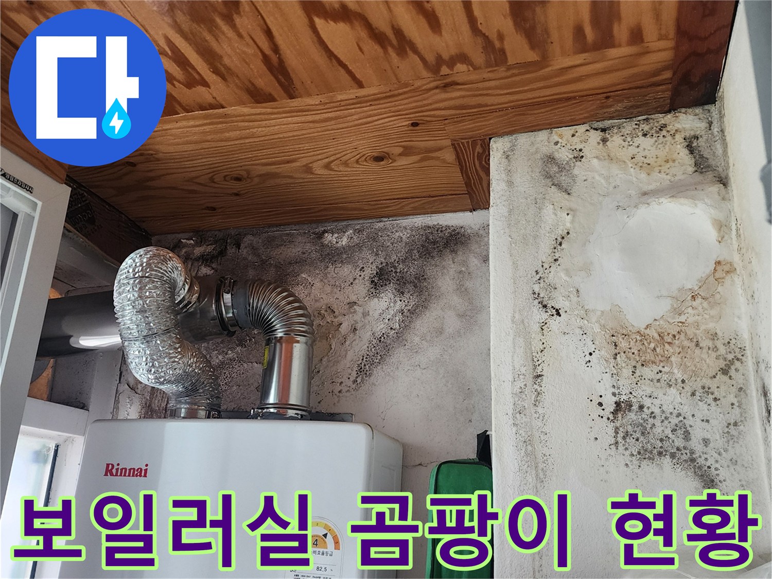 보일러 연통 주변의 검은 곰팡이와 습기로 변색된 벽면 상태