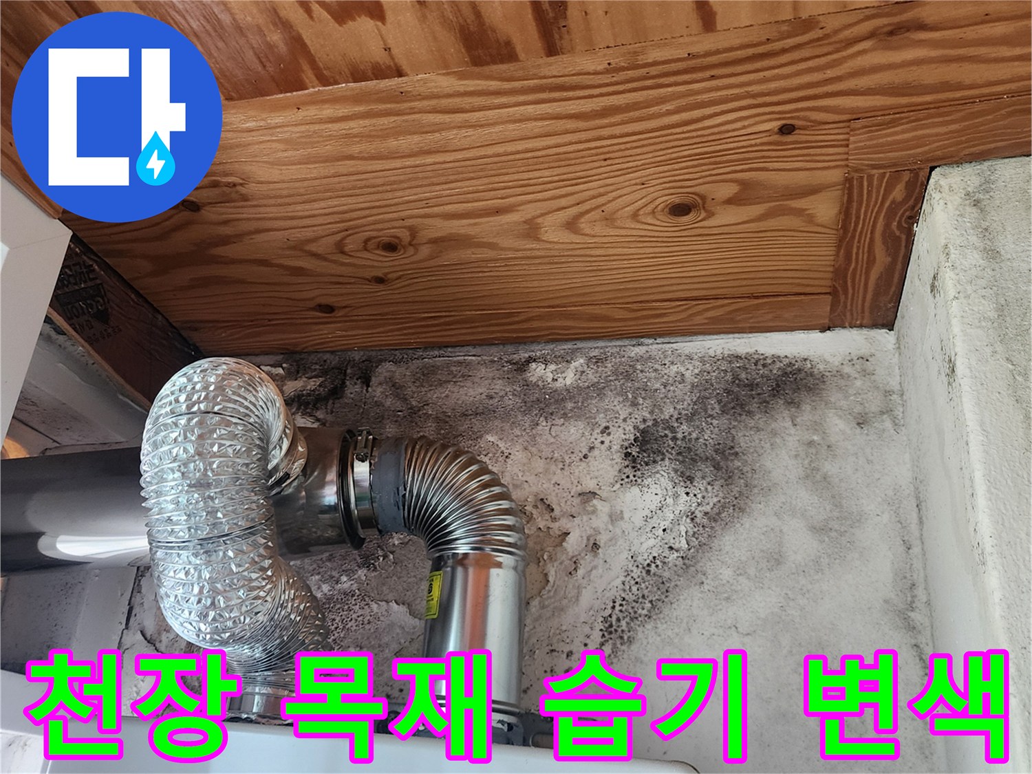 습기에-젖어-변색된-천장-나무와-곰팡이가-핀-벽면