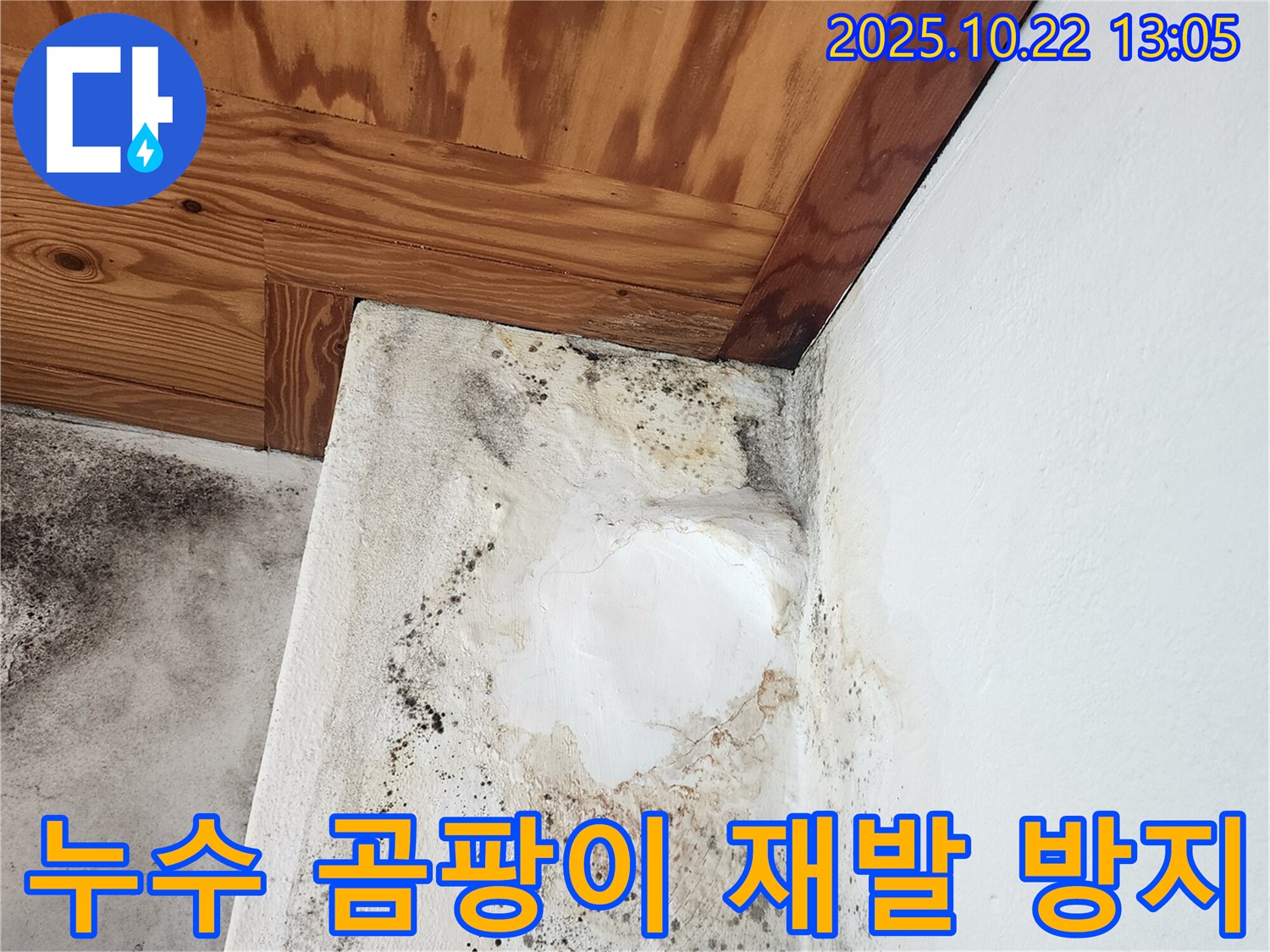 양주시 은현면 누수 - 곰팡이 제거와 함께 재발 방지 시공