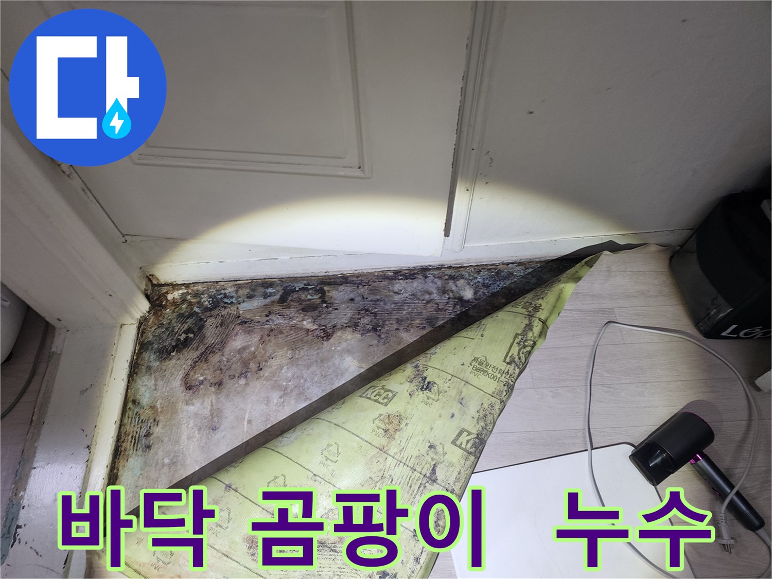 빌라 누수 원인 - 화장실 방수층 문제로 인한 바닥 곰팡이