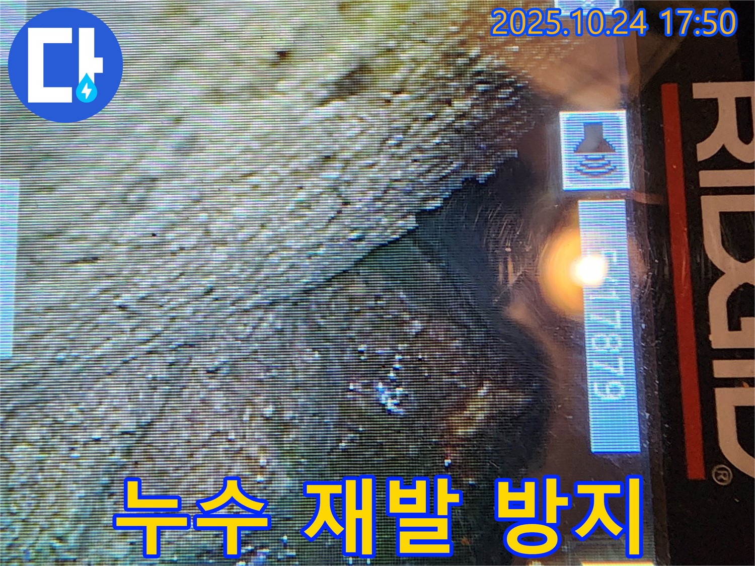 서초구 누수 공사 - 양재동 현대빌라, 누수 재발 방지를 위한 꼼꼼한 시공