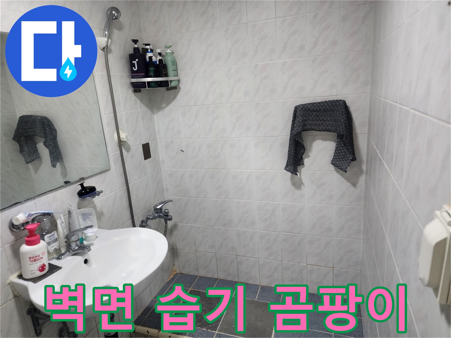 서초구 양재동 욕실 - 벽면 습기 및 곰팡이 - 누수 가능성 점검