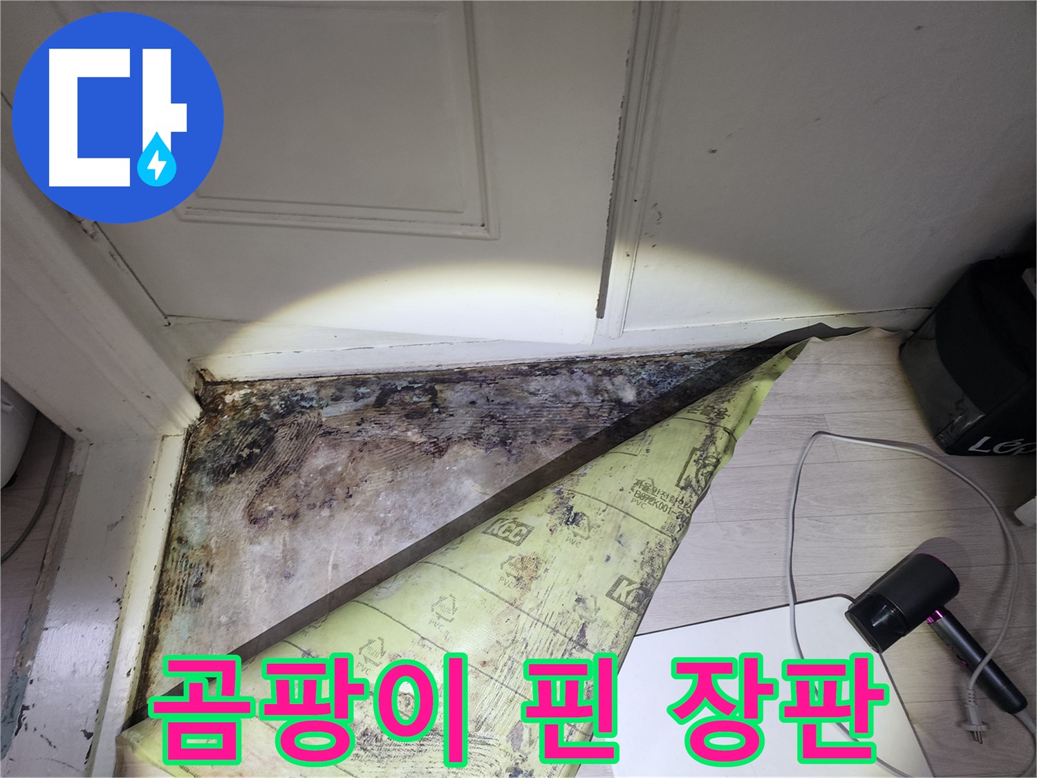 양재동 현대빌라 누수 - 곰팡이 핀 장판, 누수 해결 후 쾌적하게