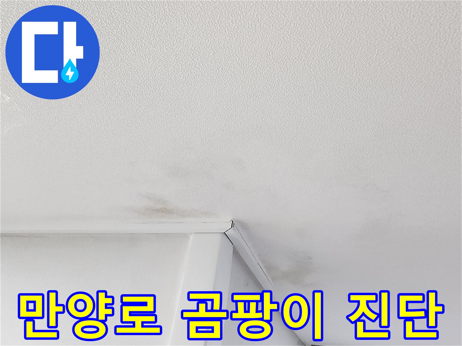 천장 곰팡이 - 누수 또는 결로 현상 원인