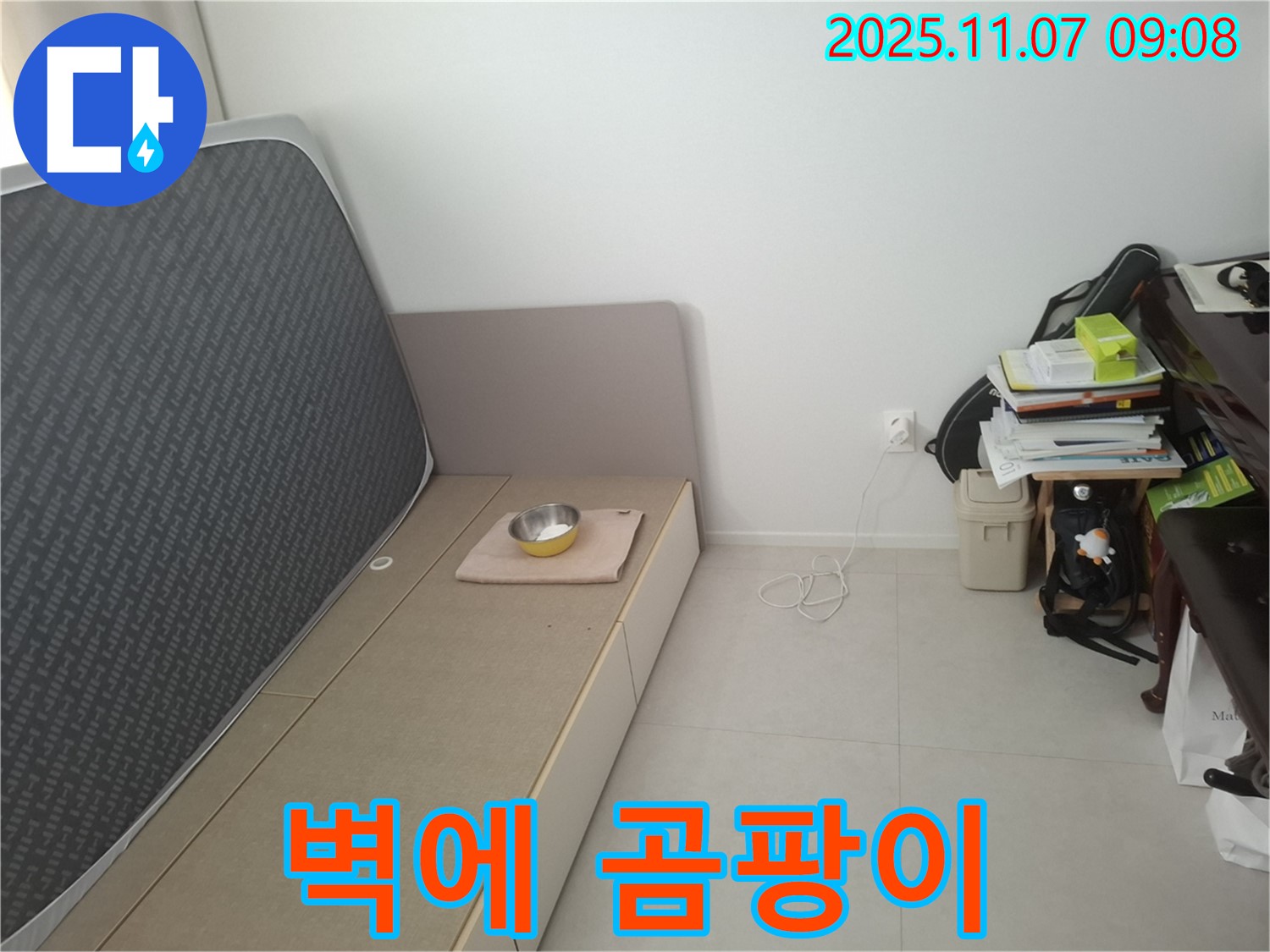 수원 신풍동 누수 - 침대 옆 벽에 곰팡이 발생, 건강 위협 여부 긴급 진단 및 곰팡이 제거