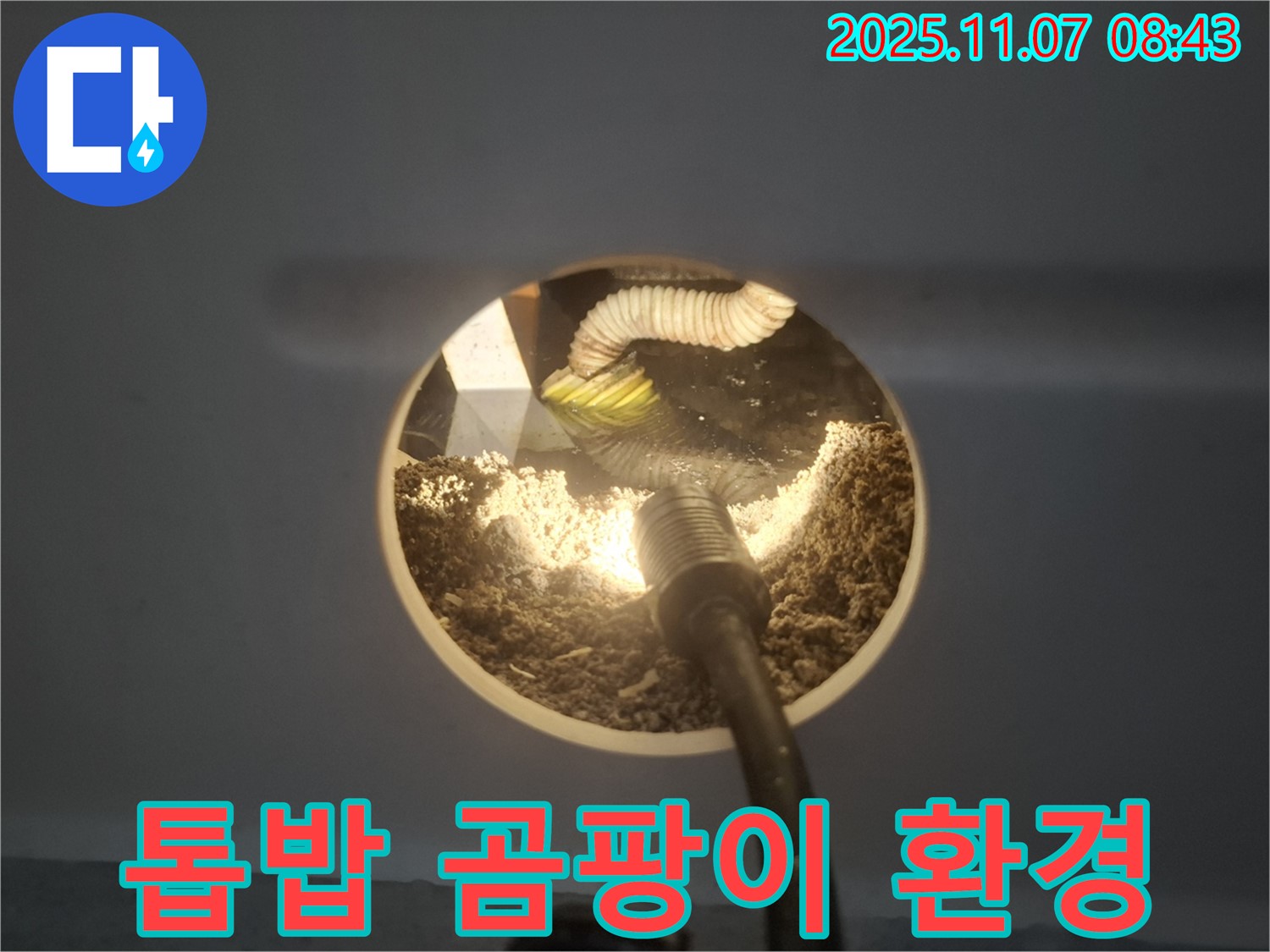 수원 신풍동 천장 누수 - 점검구 속 톱밥은 곰팡이가 서식하기에 최적의 환경을 제공합니다.