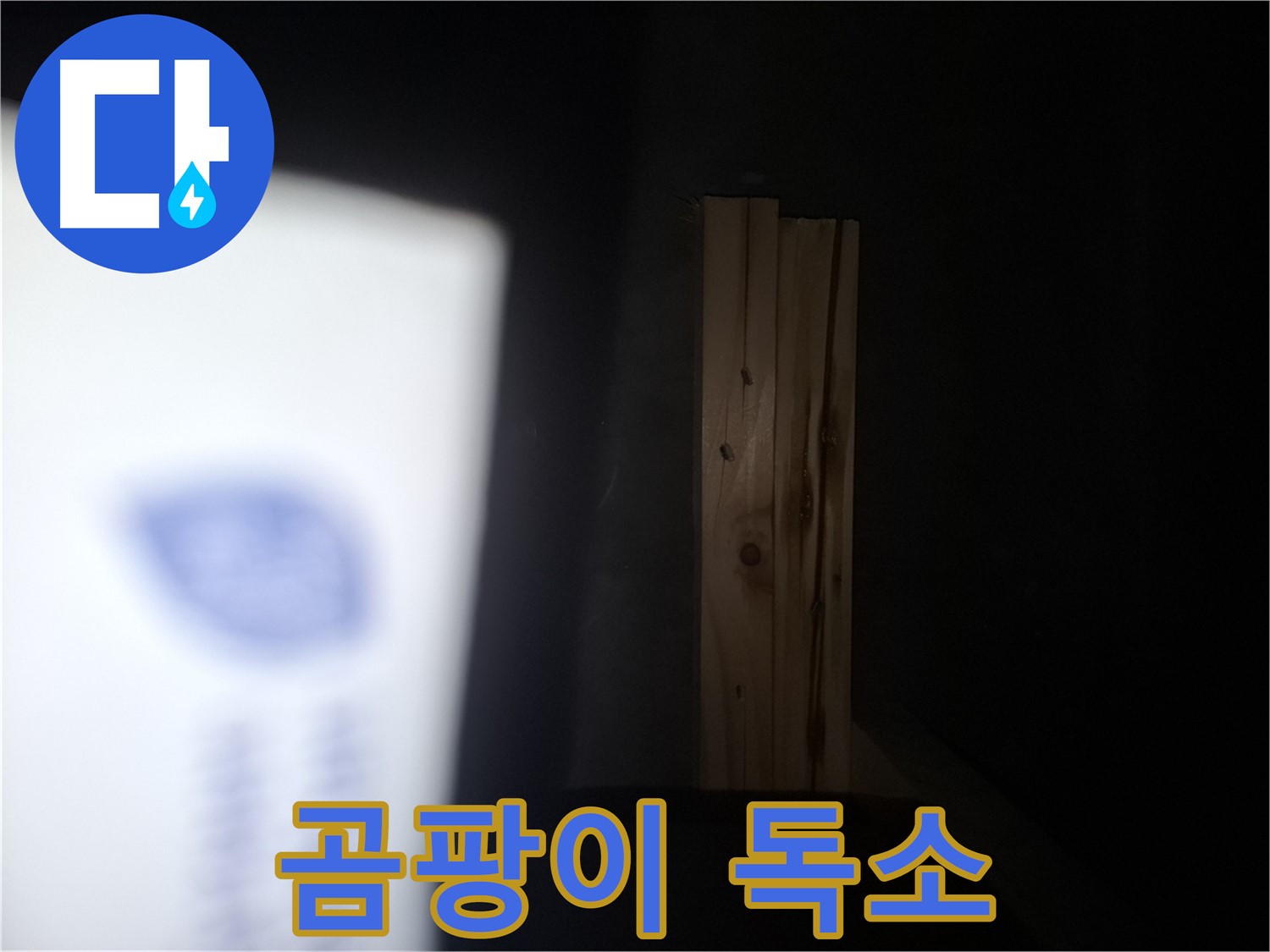 수원 팔달구 신풍동 누수 - 곰팡이 독소 발생 - 가족 건강에 적신호.