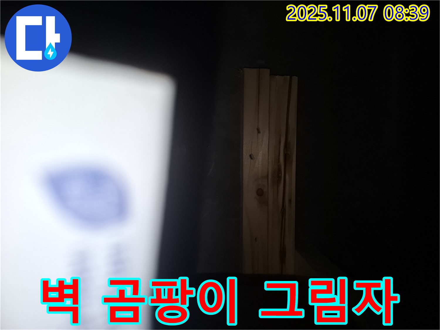 수원 팔달구 신풍동 누수 - 나무 벽에 곰팡이 그림자가 드리워졌다면 건물 전체에 곰팡이 유령이 출몰하고 있다는 신호입니다!