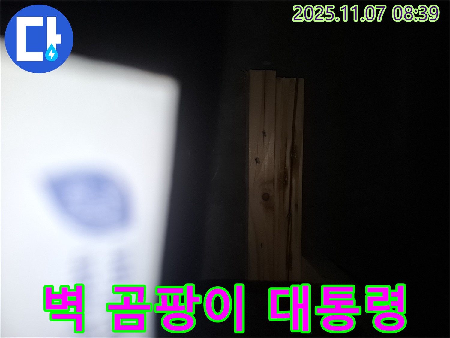 수원 팔달구 신풍동 누수 - 나무 벽에 곰팡이 대통령이 취임했다면 건물 전체에 곰팡이 정부가 수립될지도 모릅니다!