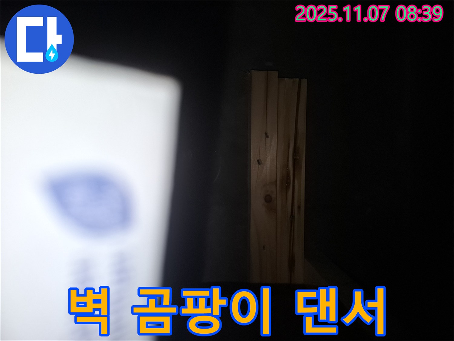 수원 팔달구 신풍동 누수 - 나무 벽에 곰팡이 댄서가 춤을 춘다면 건물 전체에서 곰팡이 댄스 파티가 개최될지도 모릅니다!
