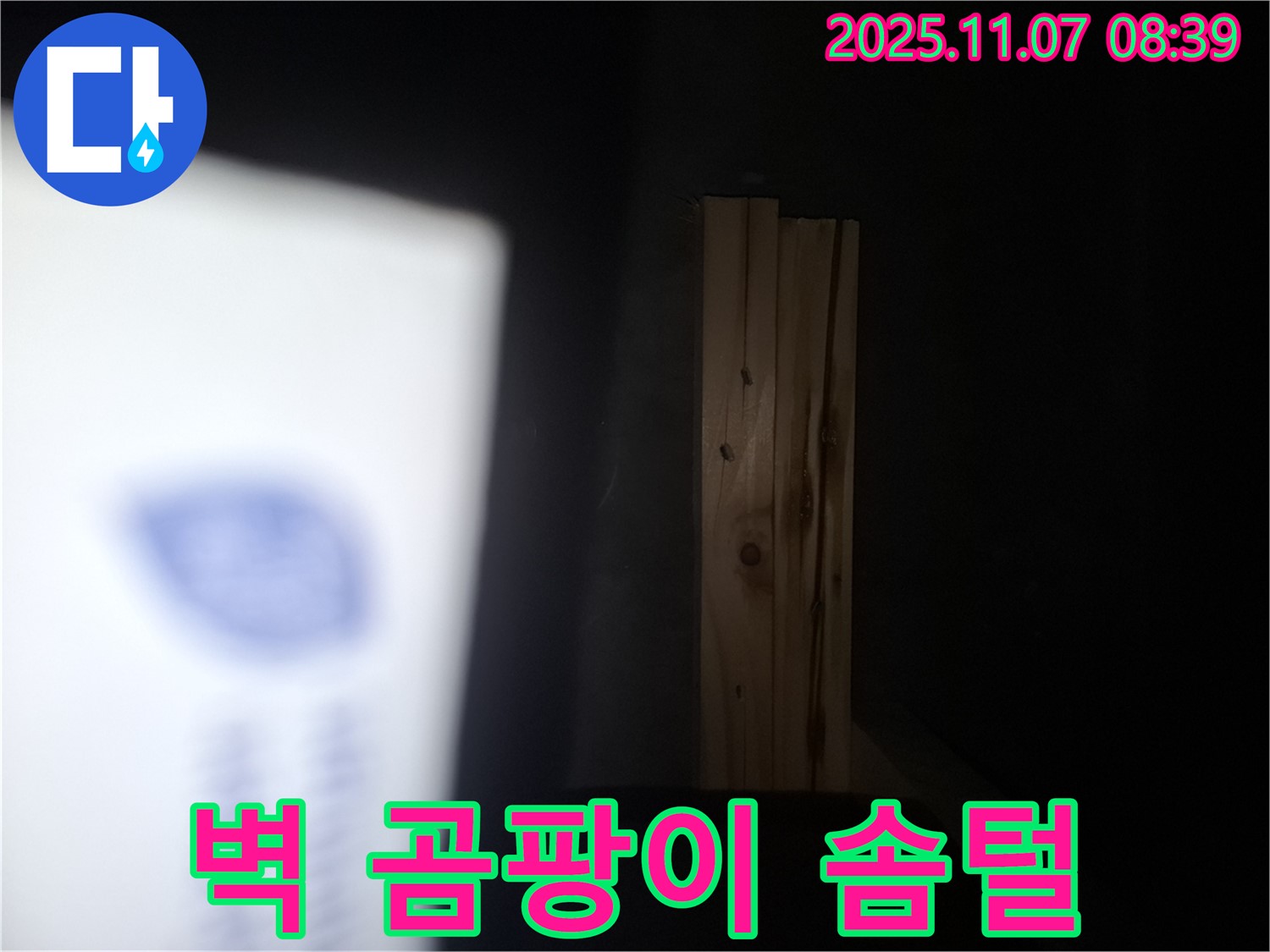 수원 팔달구 신풍동 누수 - 나무 벽에 곰팡이 솜털이 피었다면 건물 전체가 곰팡이 섬유로 뒤덮일 수 있습니다!