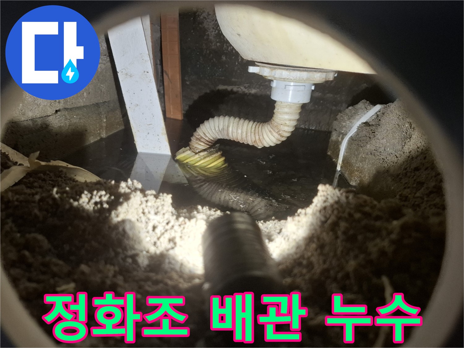 수원 팔달구 신풍동 누수 - 정화조 배관 누수 발생 - 악취와 토양 오염 우려