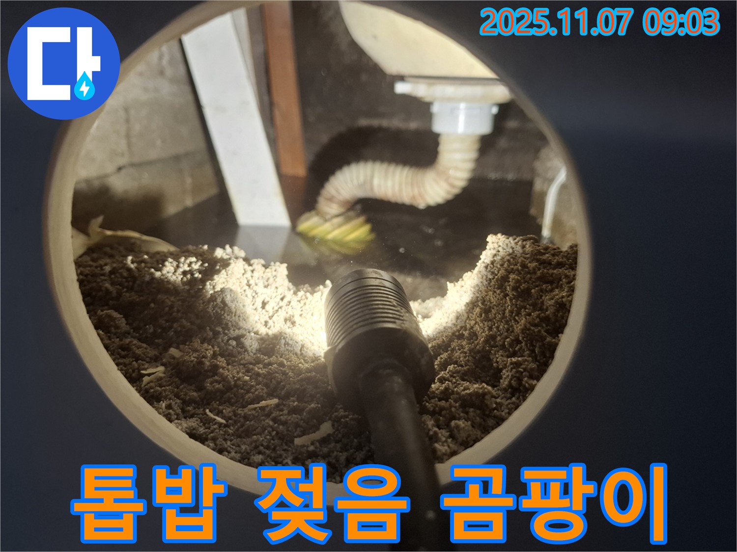 수원 팔달구 신풍동 싱크대 하부 톱밥 젖음 - 배수구 주변 곰팡이와 악취