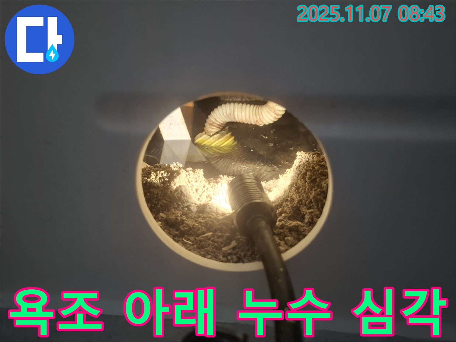 수원 팔달구 신풍동에서 발생한 욕조 아래 심각한 누수 현장 - 누수탐지 전문 업체에서 정확한 진단과 신속한 해결을 제공합니다.