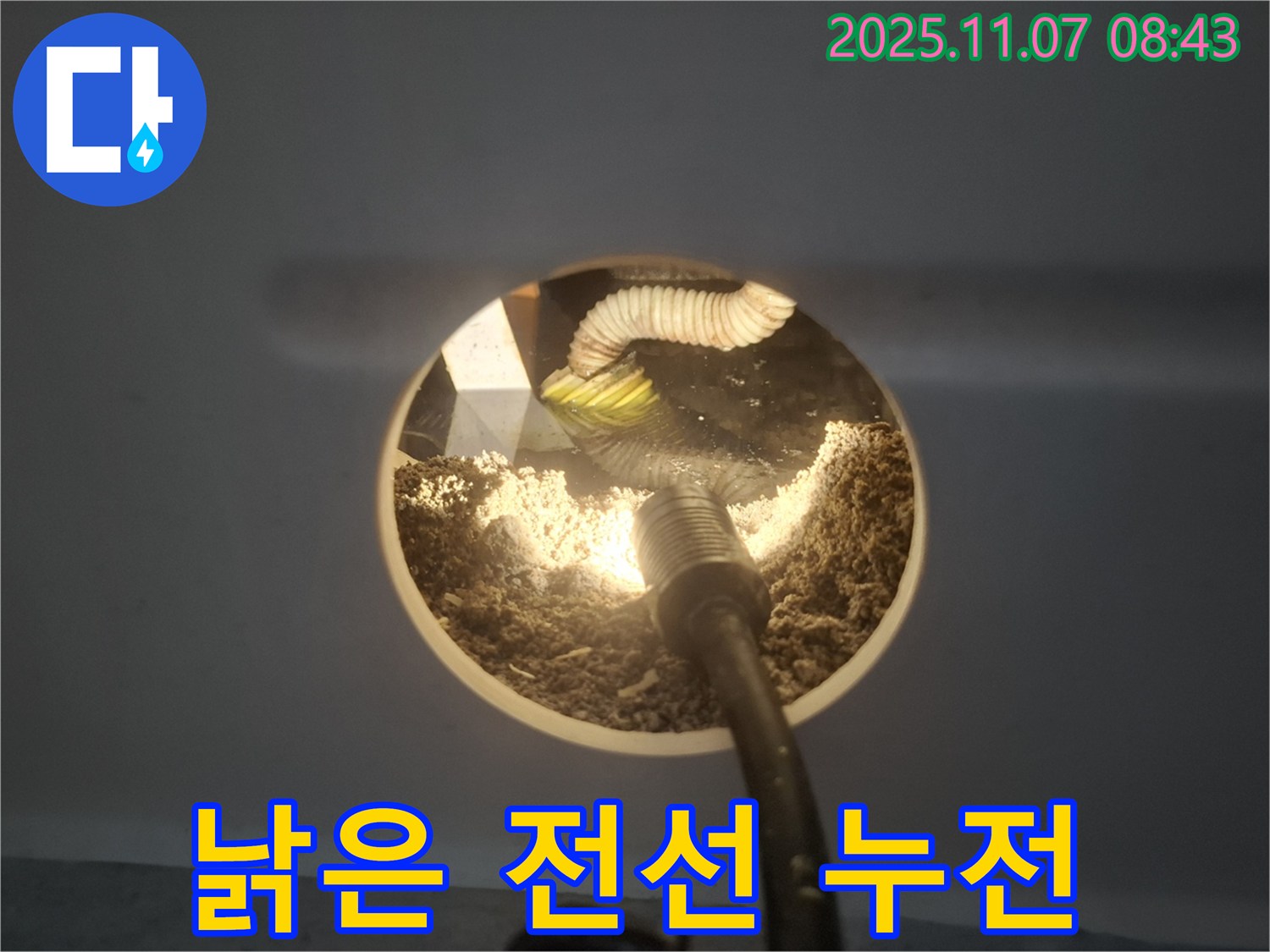 신풍동 누수 - 천장 속 낡은 전선! 누전으로 인한 누수 가능성도 배제할 수 없습니다.