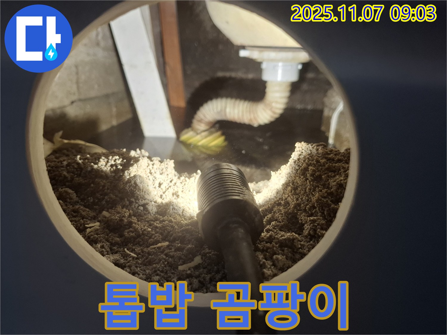 신풍동 주택 싱크대 하부 톱밥 젖음 - 곰팡이 발생 초기 증상 확인