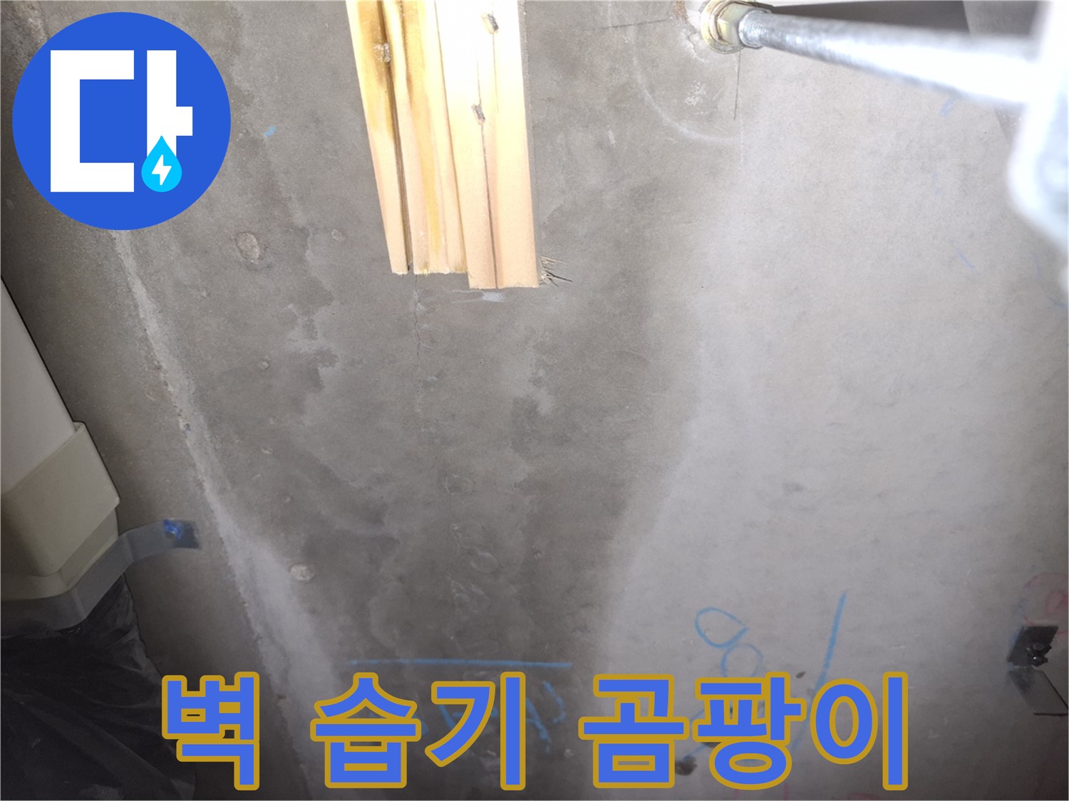 콘크리트 벽 누수 - 습기와 곰팡이, 건강 위협