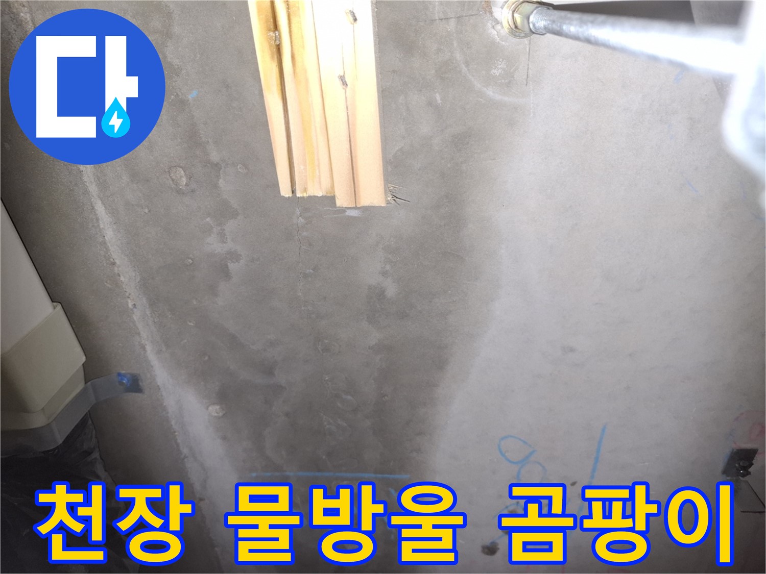 콘크리트 천장 누수 - 물방울 맺힘과 곰팡이 냄새