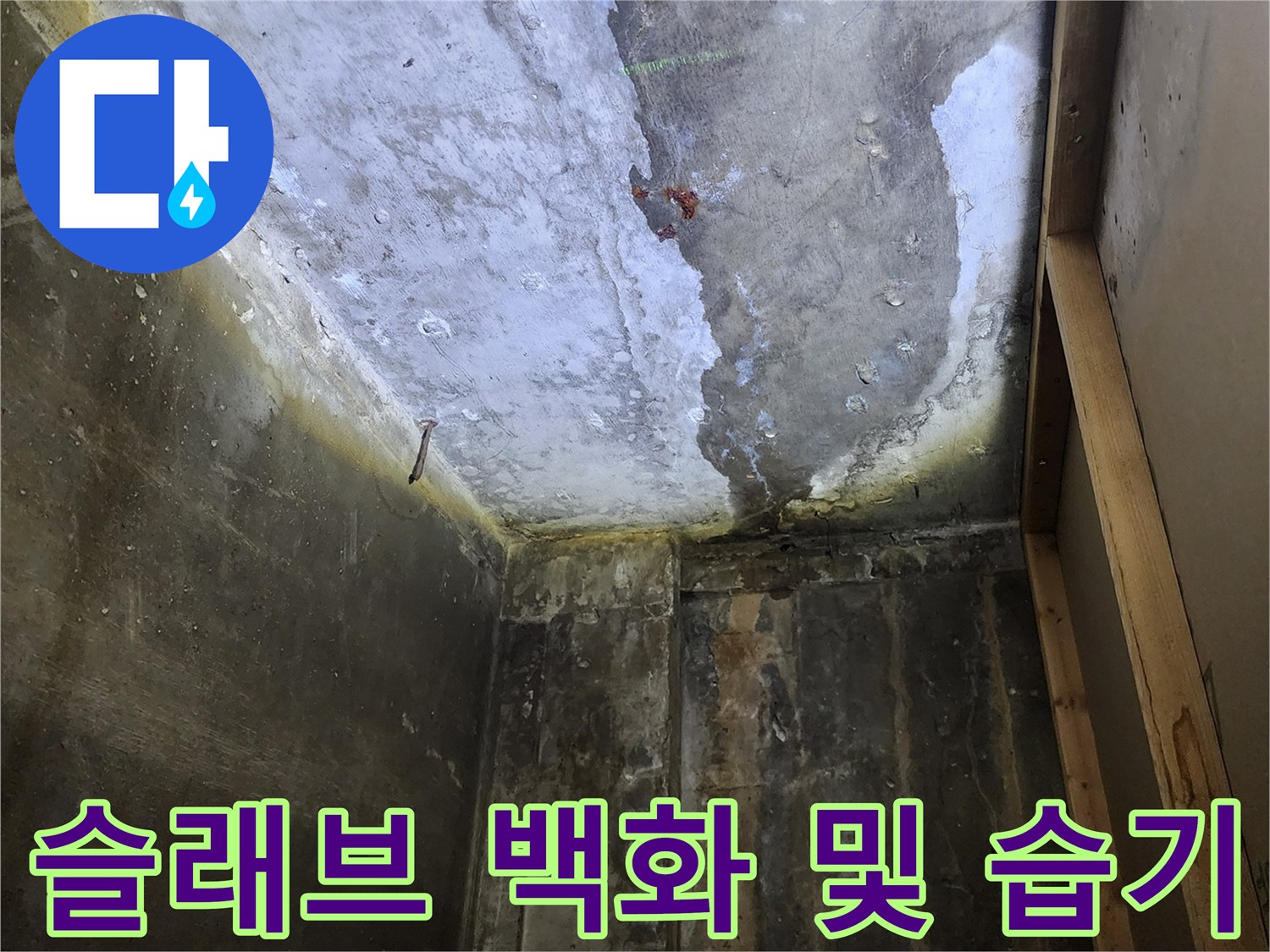 누수 지점 확인-콘크리트 표면에 나타난 백화 현상과 물기