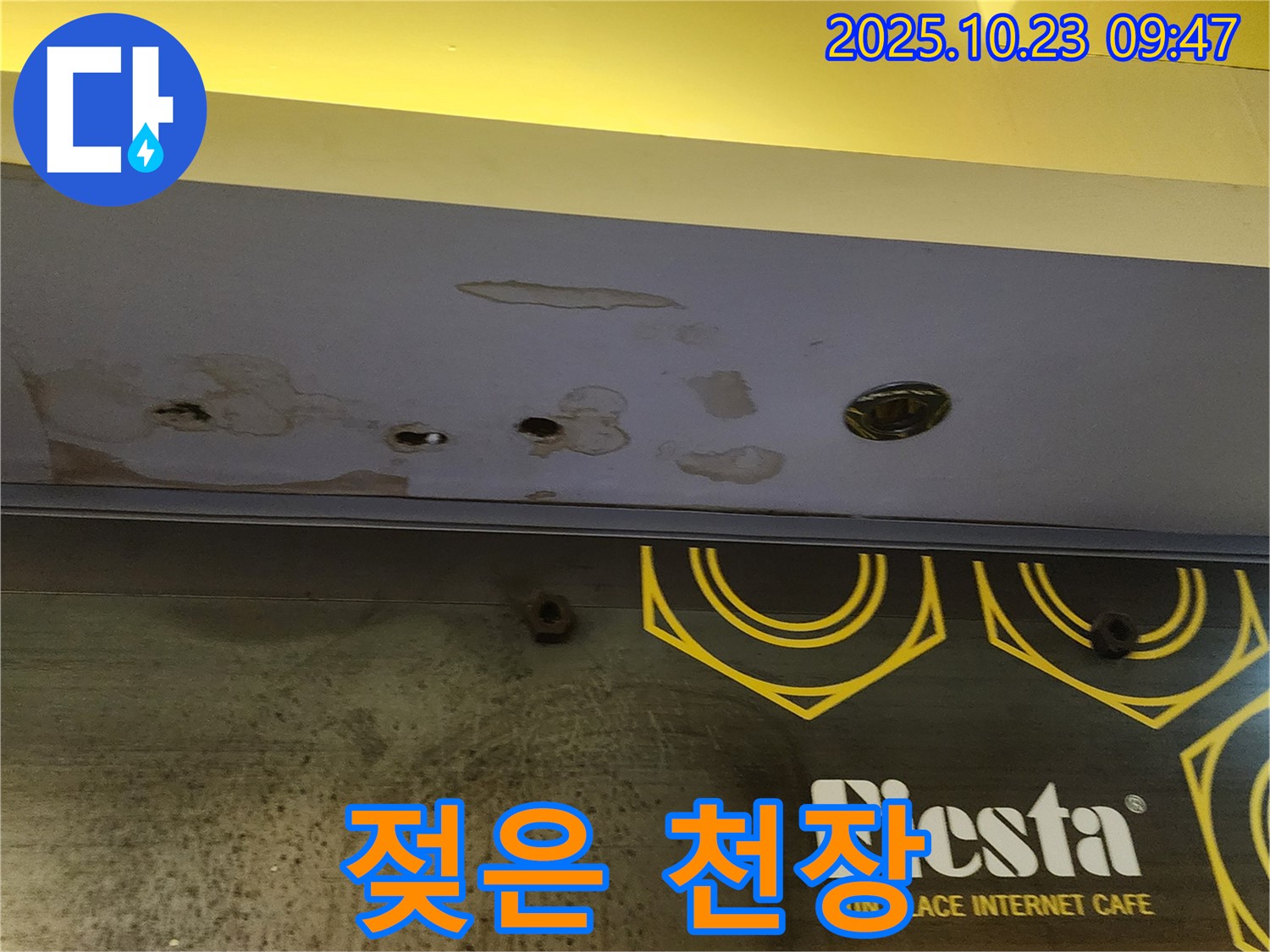 양주시 도하리 건물 천장 - 젖어있는 천장 모습으로, 심각한 누수 상황을 보여줍니다.