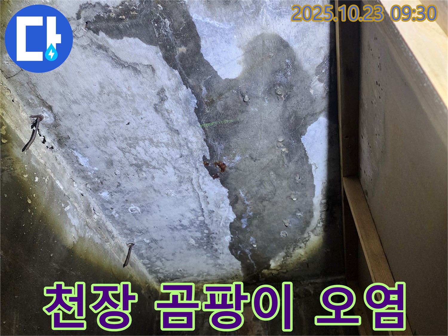 양주시 은현면 도하리 곰팡이 누수 - 심각한 천장 오염 상태 긴급 진단