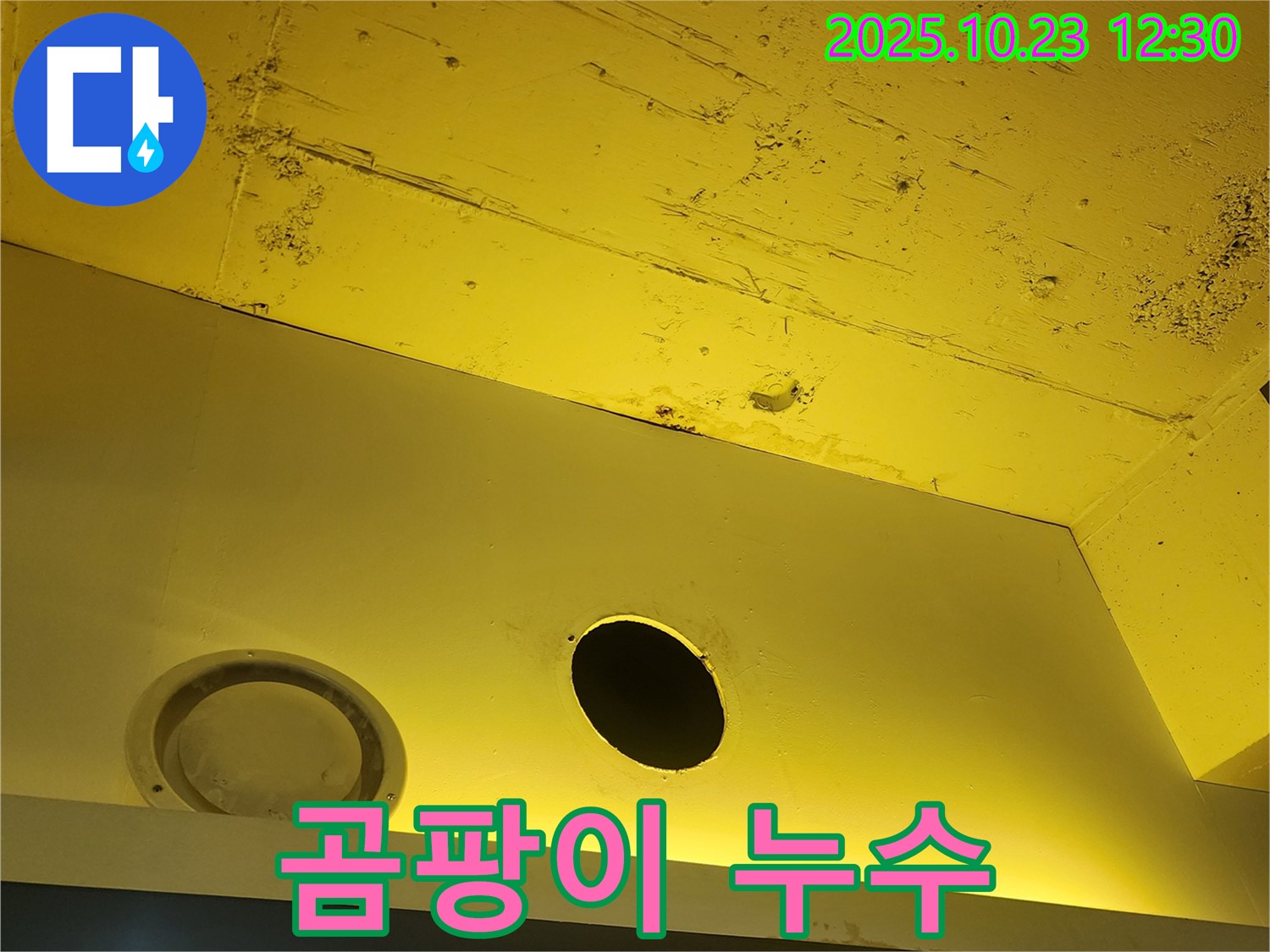 양주 하패리 천장 누수 - 곰팡이 발생 방지 시공으로 쾌적한 환경 조성