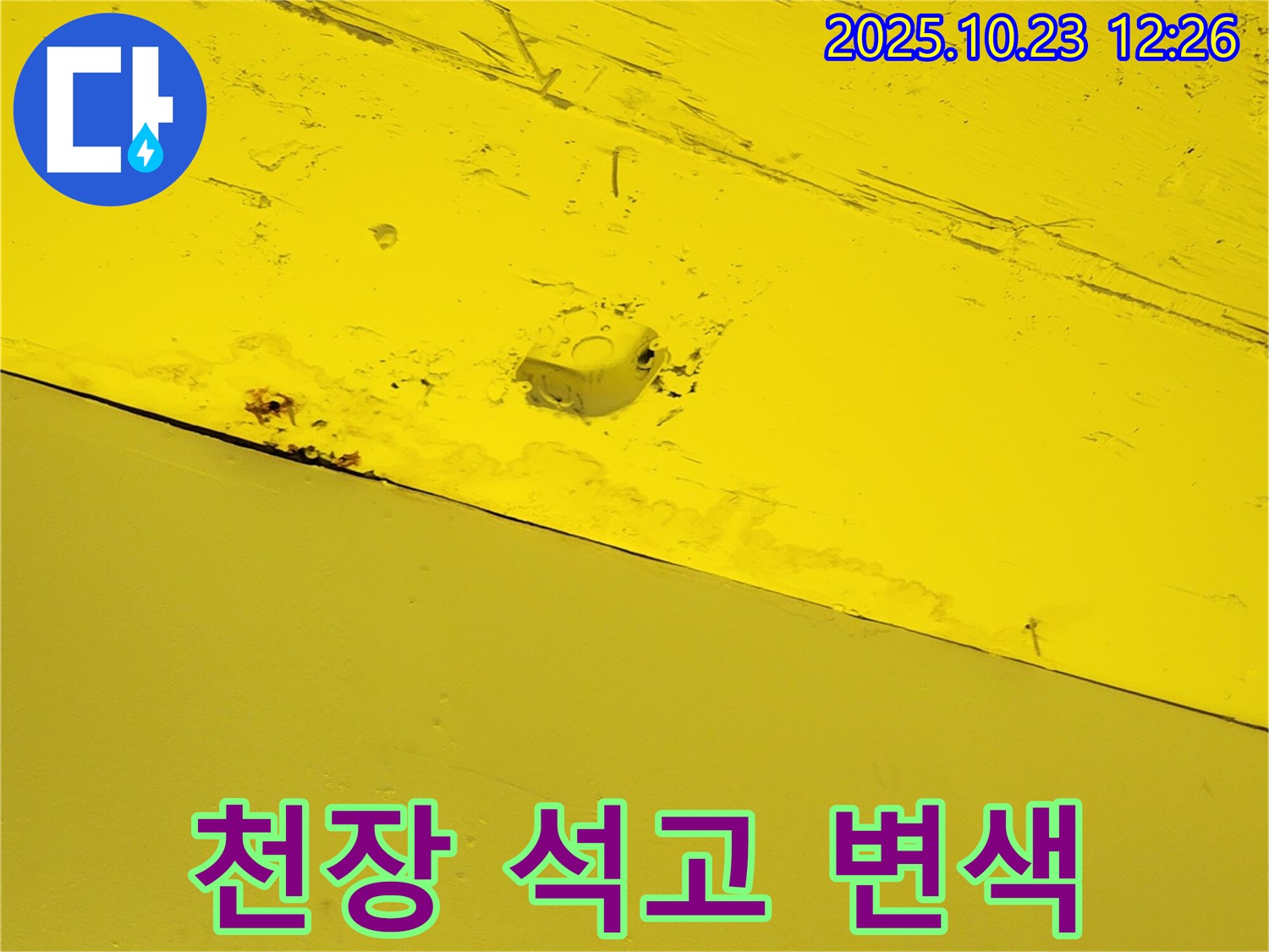 양주시 은현면 하패리 - 누수로 인해 누렇게 변색된 천장 석고보드의 모습입니다 - 누수의 심각성을 보여줍니다.