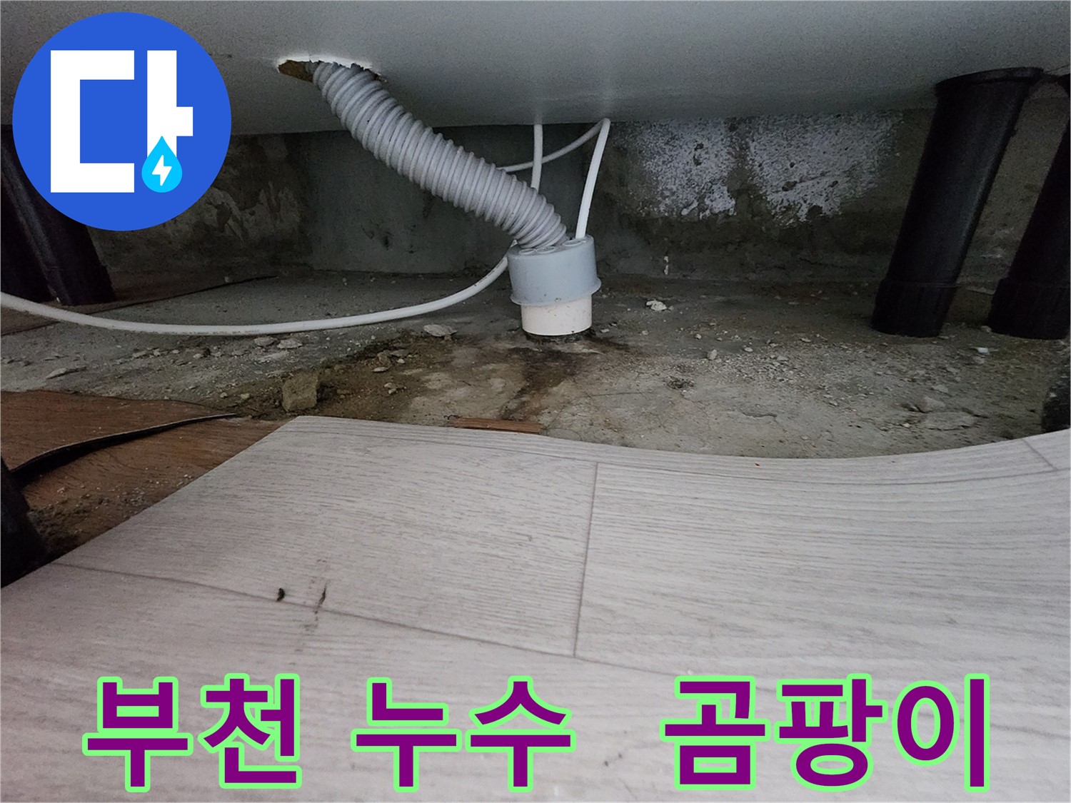 배수관 주변 습기와 곰팡이 - 누수 또는 역류 의심 사진
