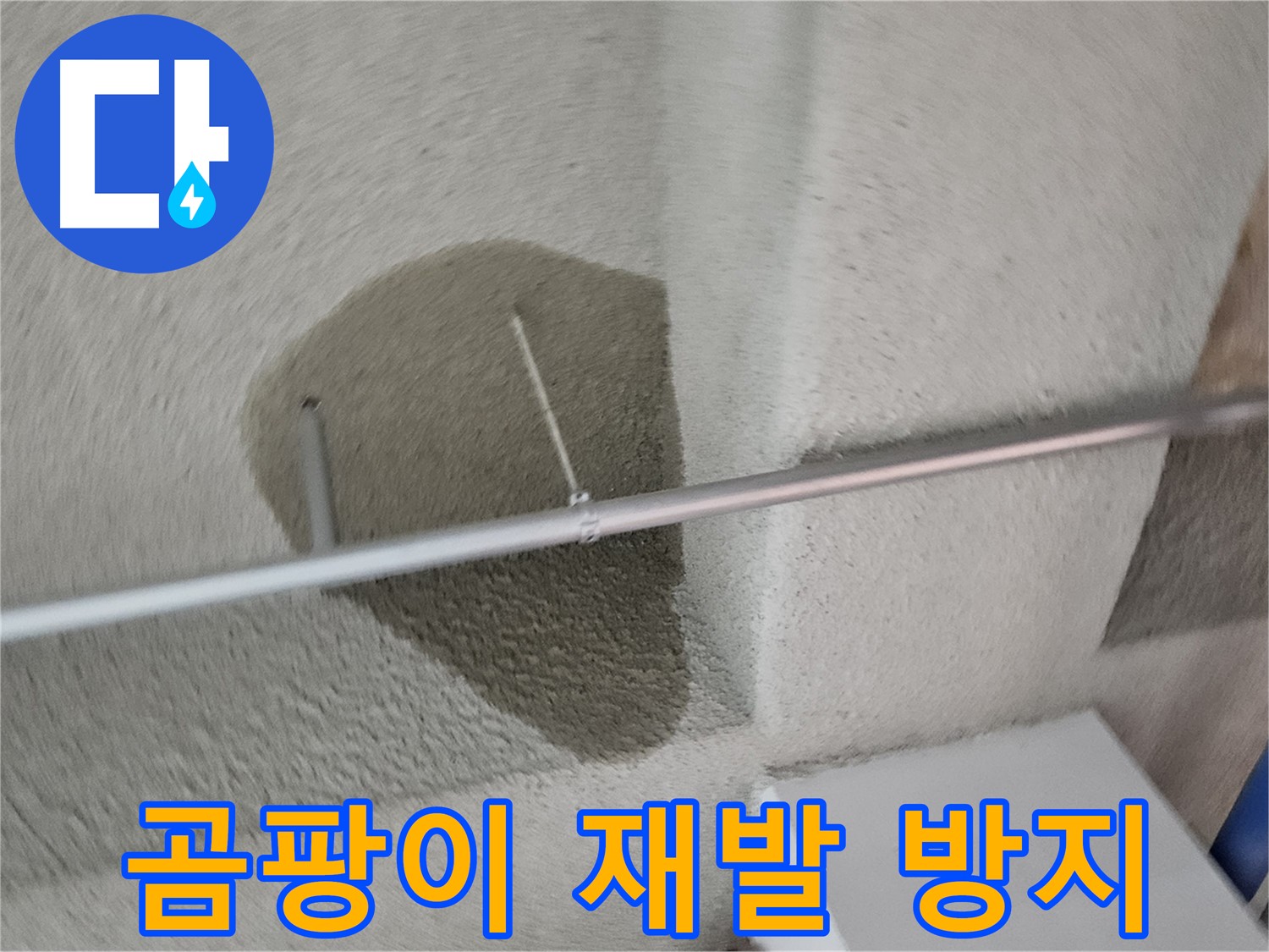 고양동 천장 곰팡이 - 완벽 제거 및 재발 방지 시공