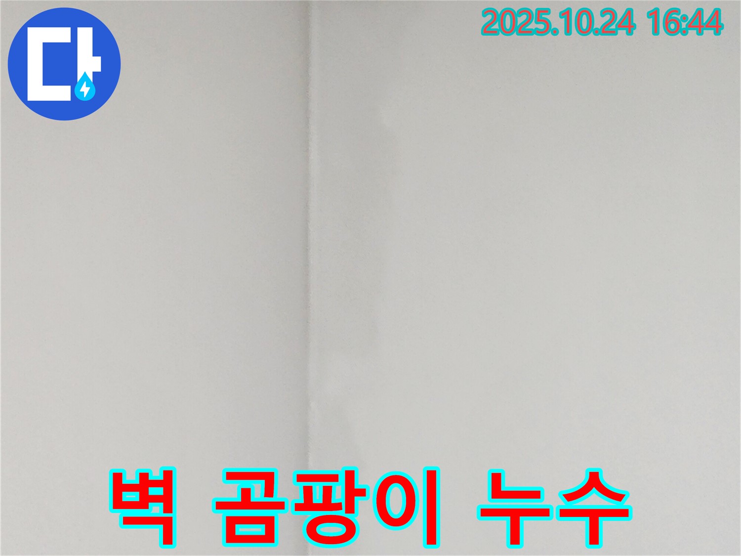 벽 곰팡이 - 양주 누수탐지, 누수와 곰팡이 문제를 동시에 해결합니다.