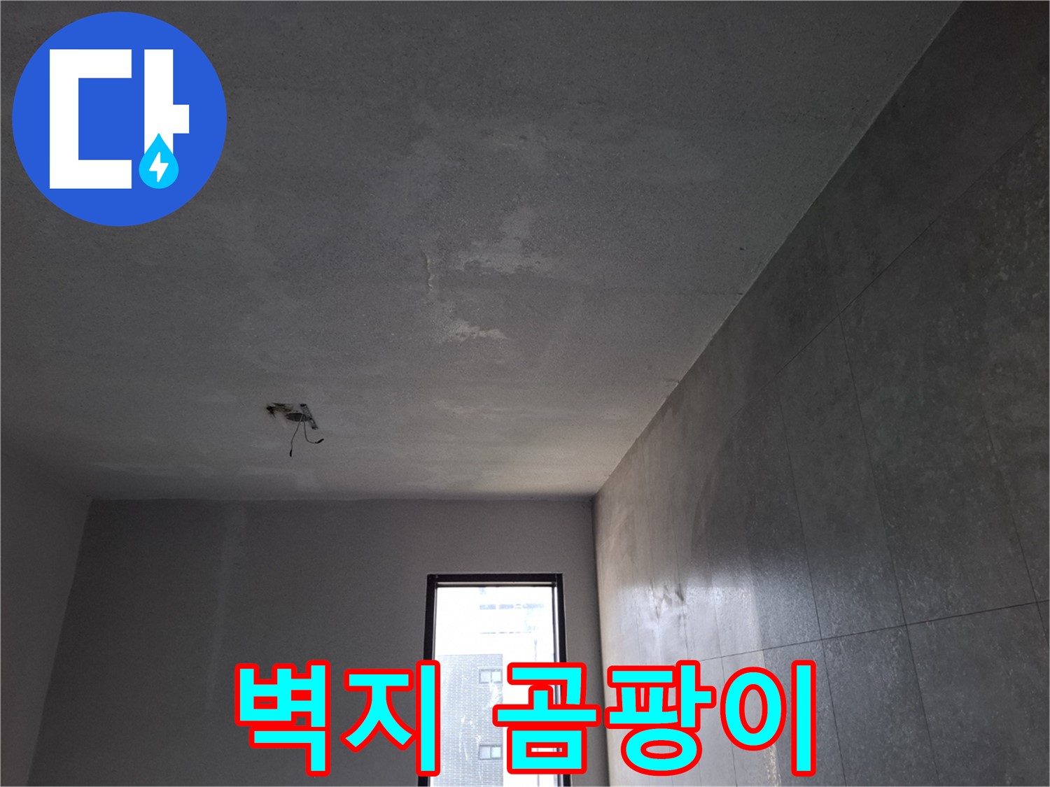 고양시 덕양구 향동 - 벽지 곰팡이 발생 - 누수 해결과 곰팡이 제거를 동시에!