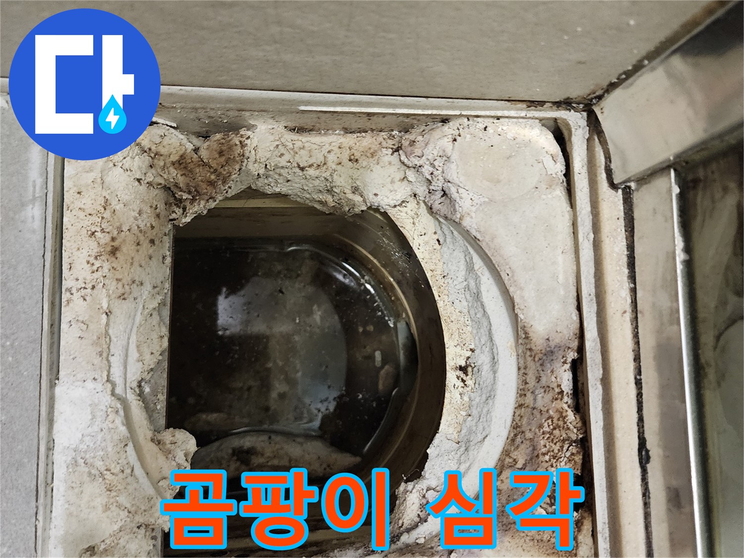 금호동2가 신금호파크자이 욕실 유가 주변 곰팡이 - 건강에 해로움