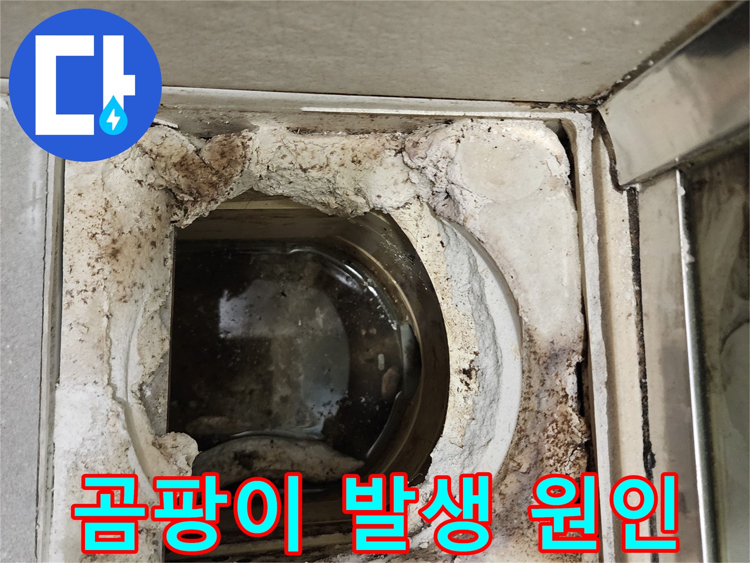 금호동2가 신금호파크자이 욕실 유가 주변 곰팡이 - 누수와 습기