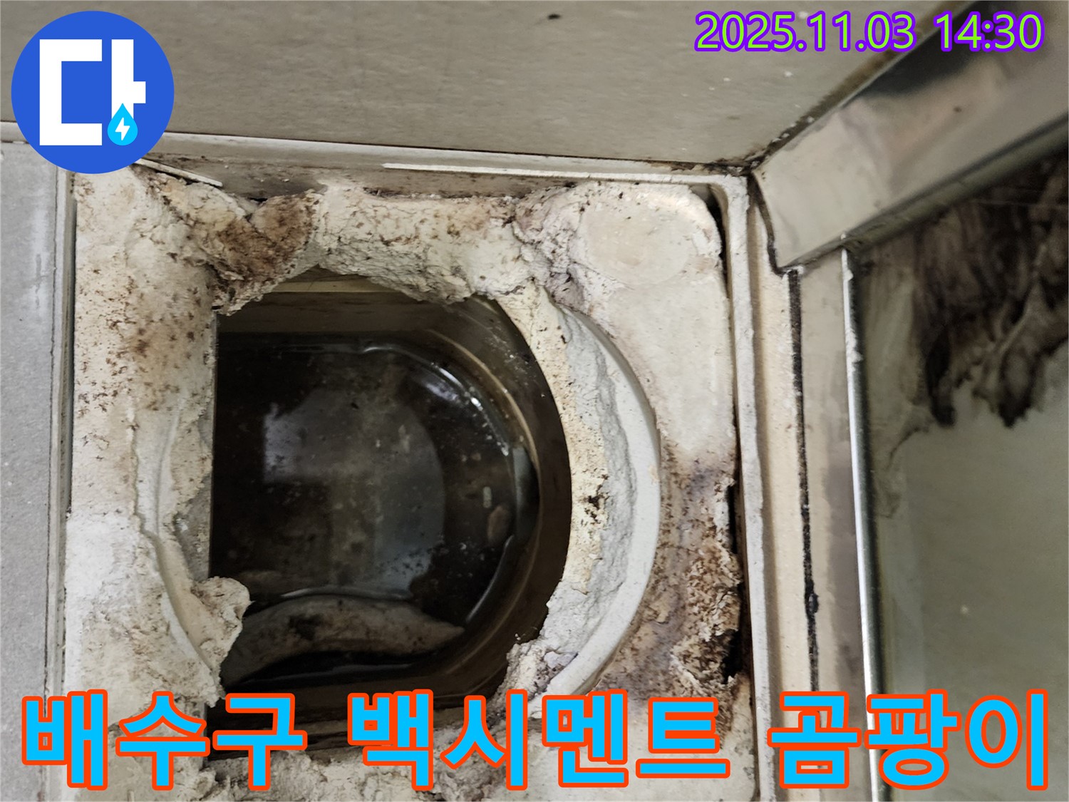 백시멘트 손실과 곰팡이가 심한 욕실 배수구 주변 - 건강을 위협하는 누수 문제입니다.