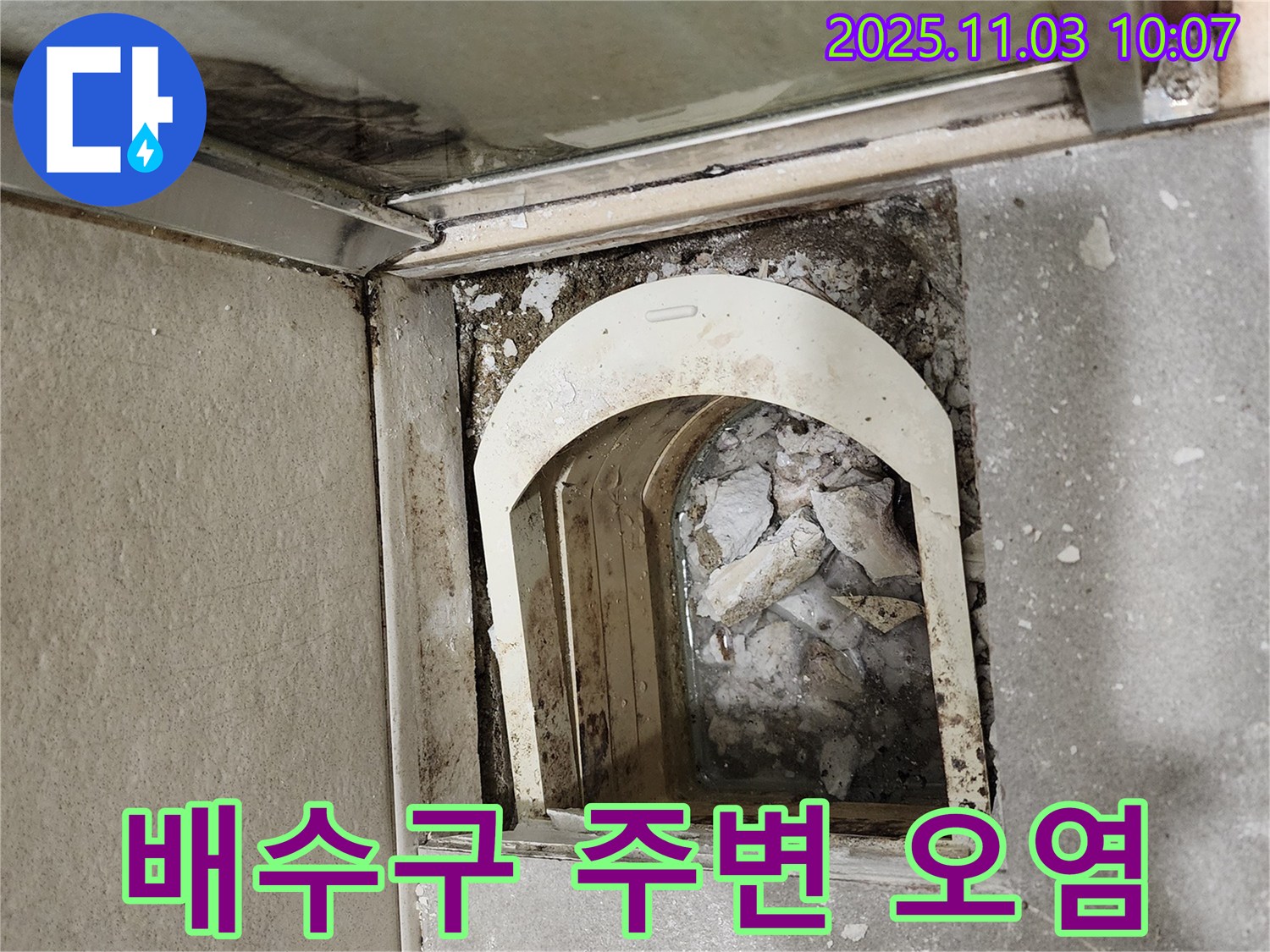 성동구 금호동 신금호파크자이 아파트 - 샤워실 배수구 주변 오염 및 물때 상태를 확인하고 있습니다.