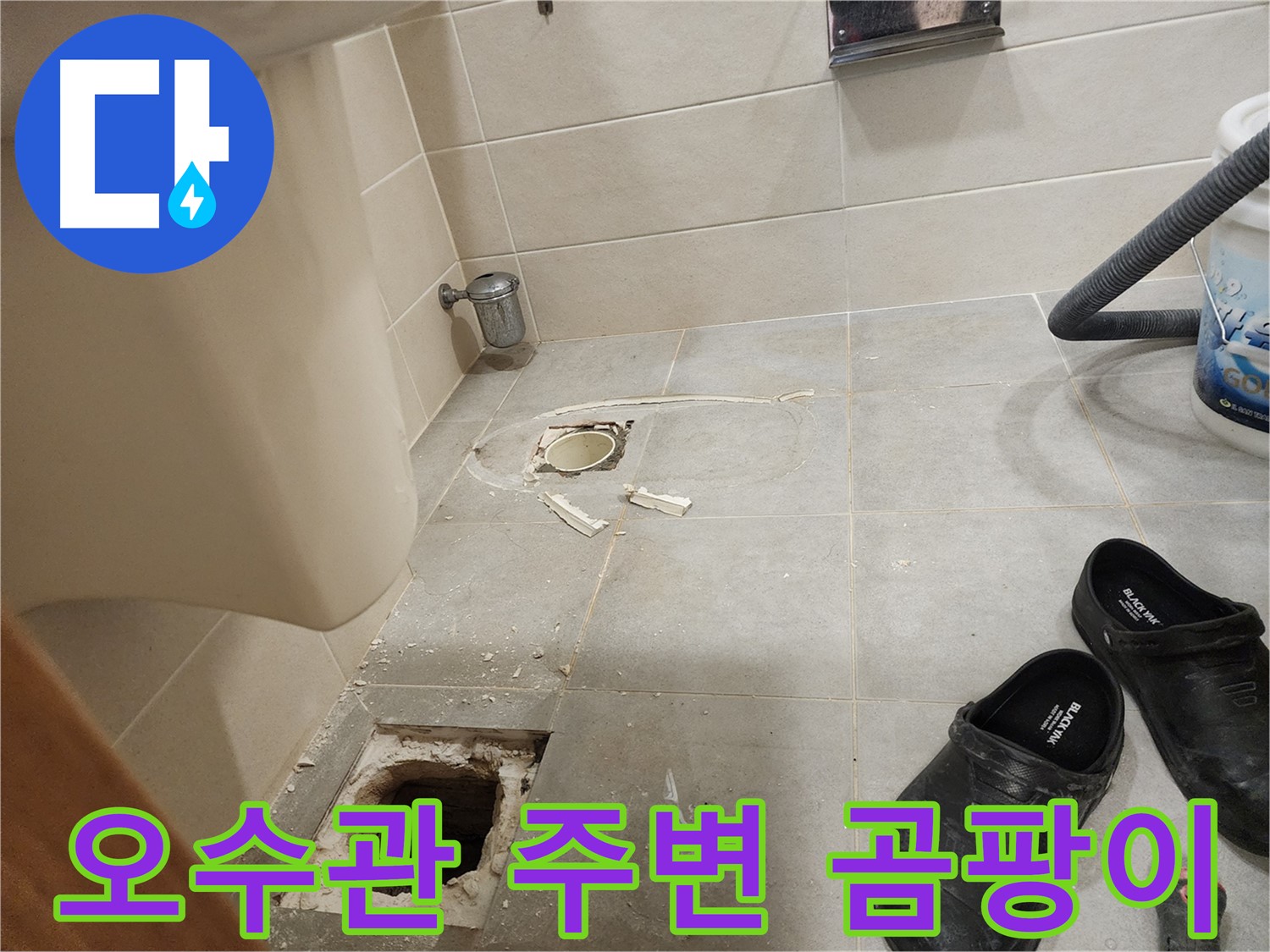 성동구 금호역 신금호파크자이 아파트 변기 오수관 연결부 주변 곰팡이