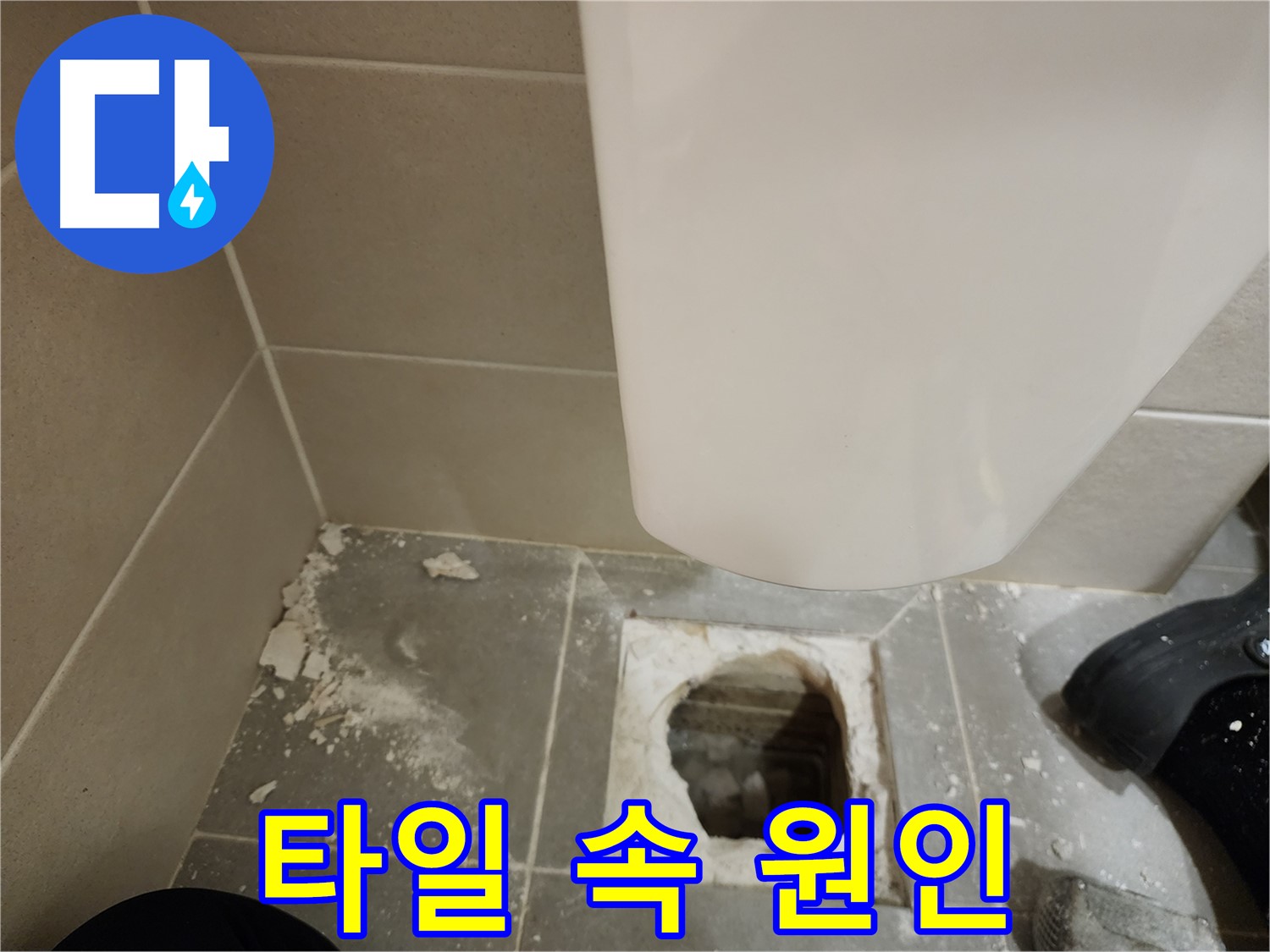 신금호파크자이 아파트 - 깨진 타일 속 숨겨진 누수 원인 분석