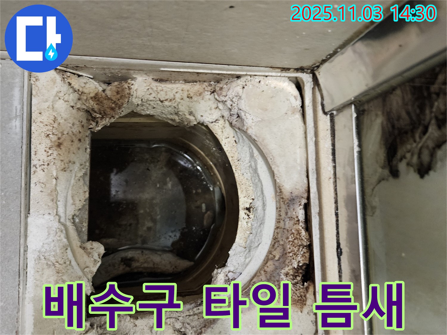 타일 틈새 오염이 심각한 욕실 배수구 주변 - 누수 문제 해결과 함께 청결 유지가 중요합니다. 청소 및 보수가 필요합니다.