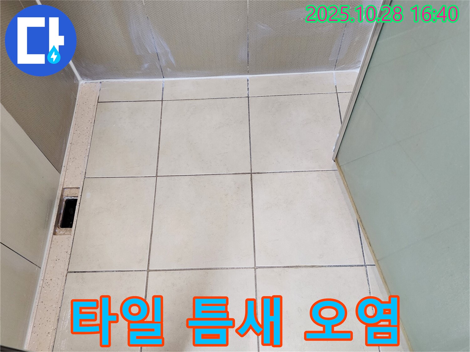 양주 샤워부스 누수 - 바닥 타일 틈새 백시멘트 오염으로 인한 누수 가능성 진단 및 청소