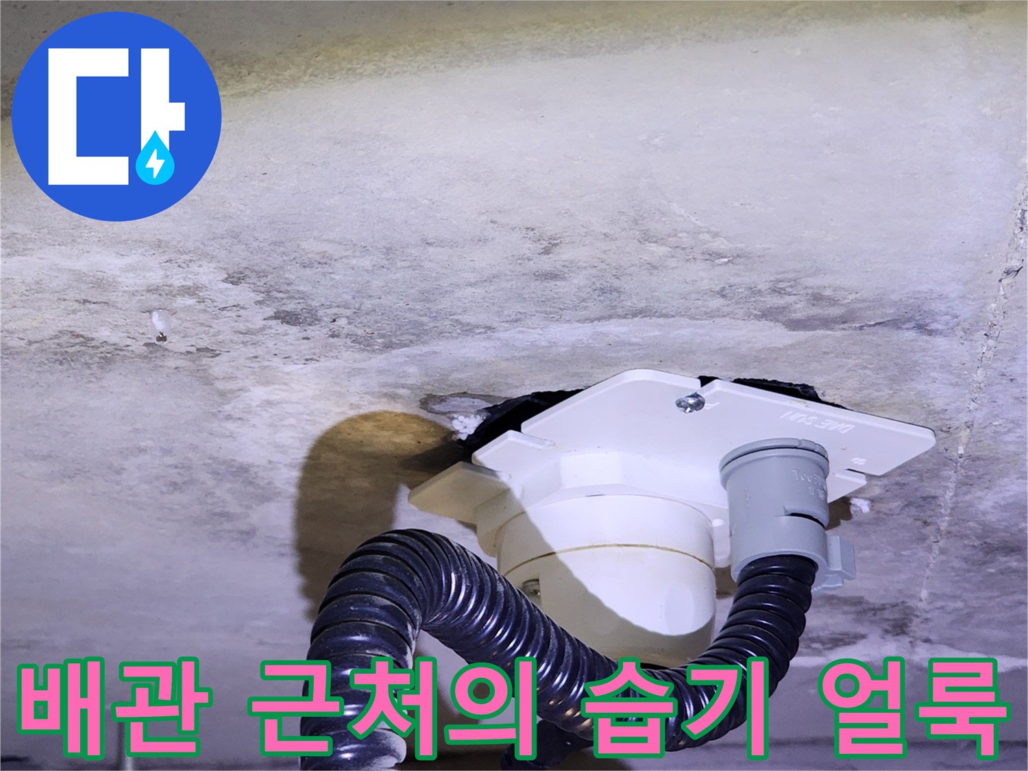 양주 유양동-습기로 인해 어둡게 변색된 천장 배관 주변