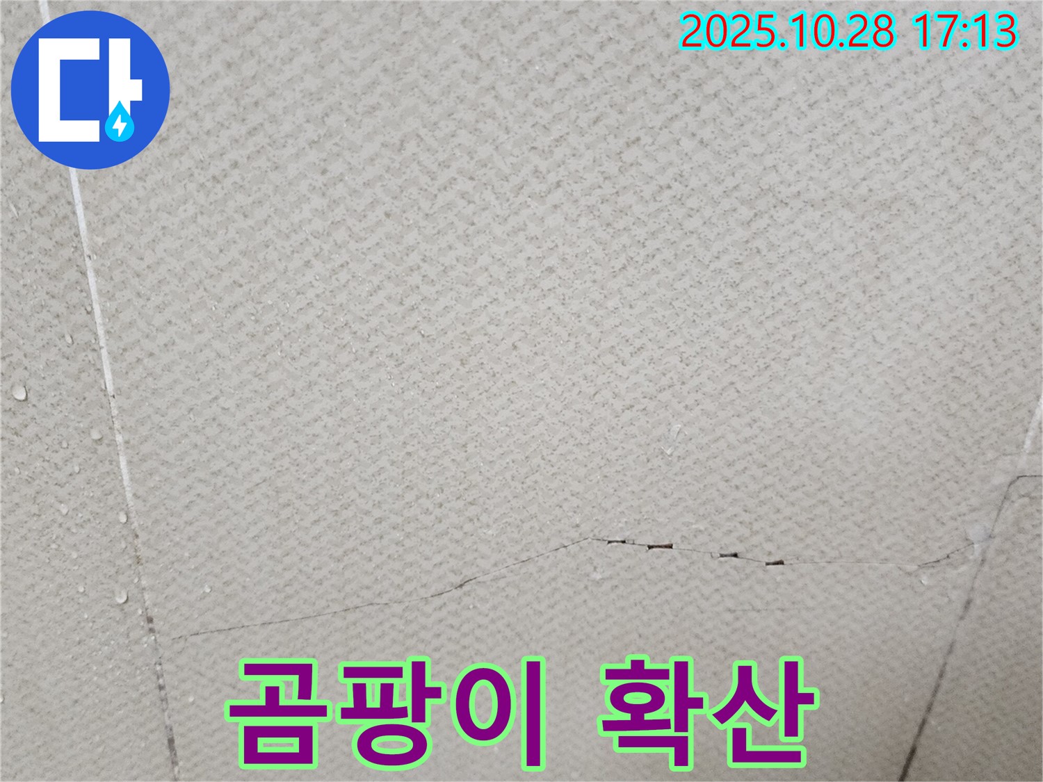 양주시 유양동 누수 - 석고보드 표면에 곰팡이가 확산되어 심각하게 오염되었습니다.
