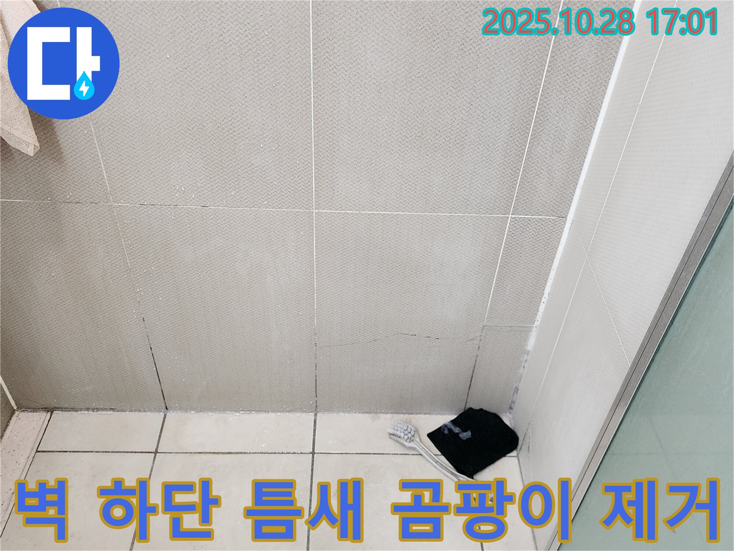 양주시 유양동 욕실 벽 하단 타일 틈새 곰팡이 제거 후 누수 점검 - 곰팡이 제거 후에도 누수 가능성 - 추가 점검 필요