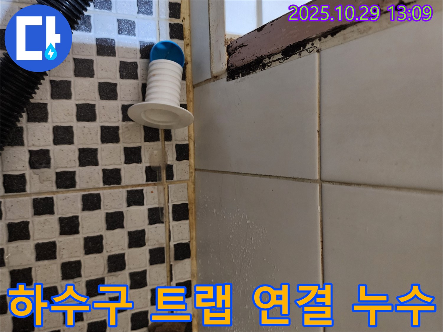 세탁실 하수구 트랩 연결 부위 누수 - 미세 누수 확인, 꼼꼼한 보수 필요