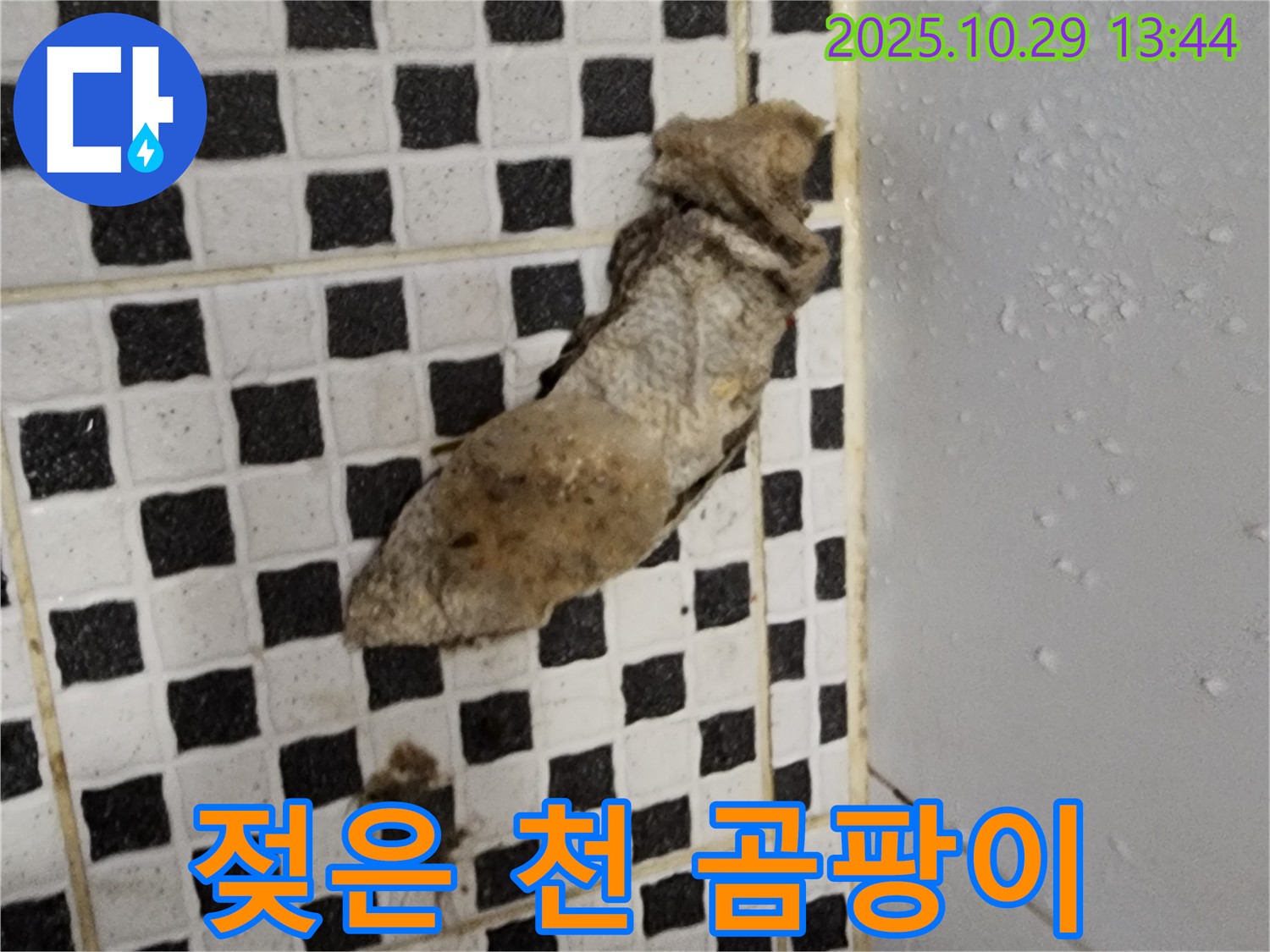 양주시 산북동 누수 현장 - 젖은 천과 곰팡이, 건강 위협