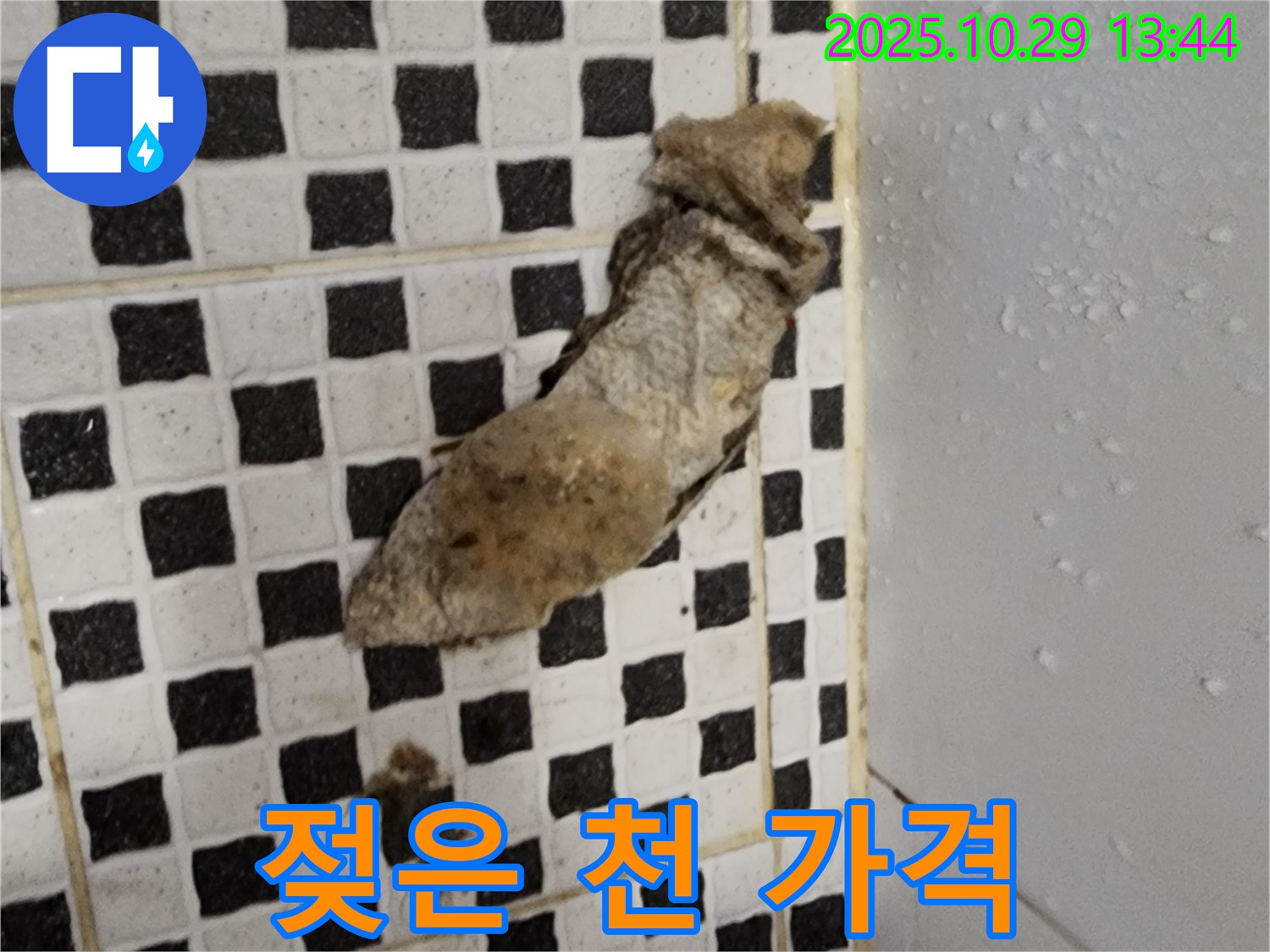 양주시 산북동 누수 현장 - 젖은 천과 합리적인 가격으로 누수 해결